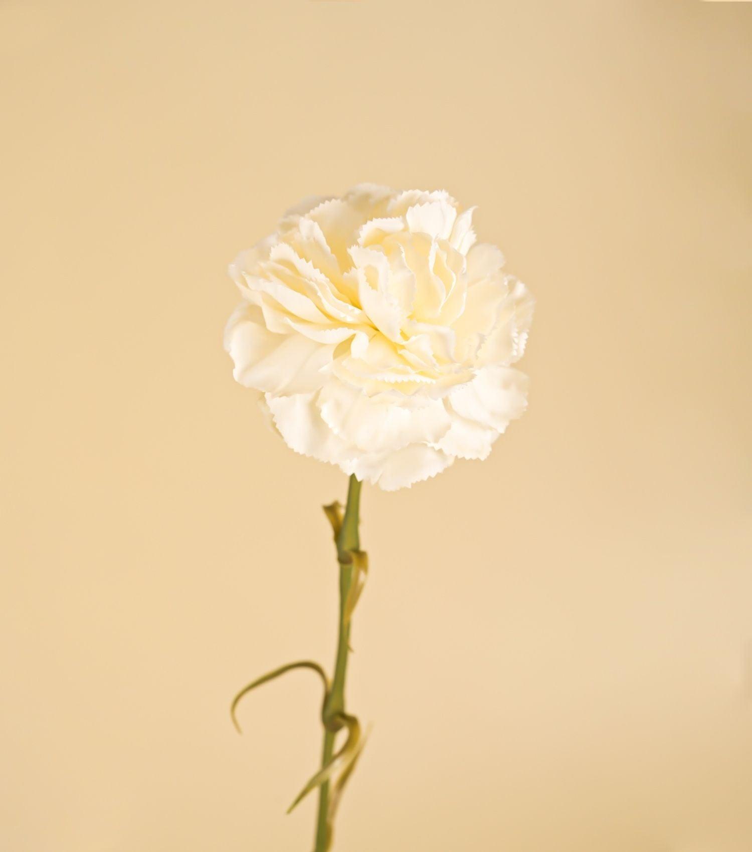 Carnation White 23.5" - Elvy Lifestyle