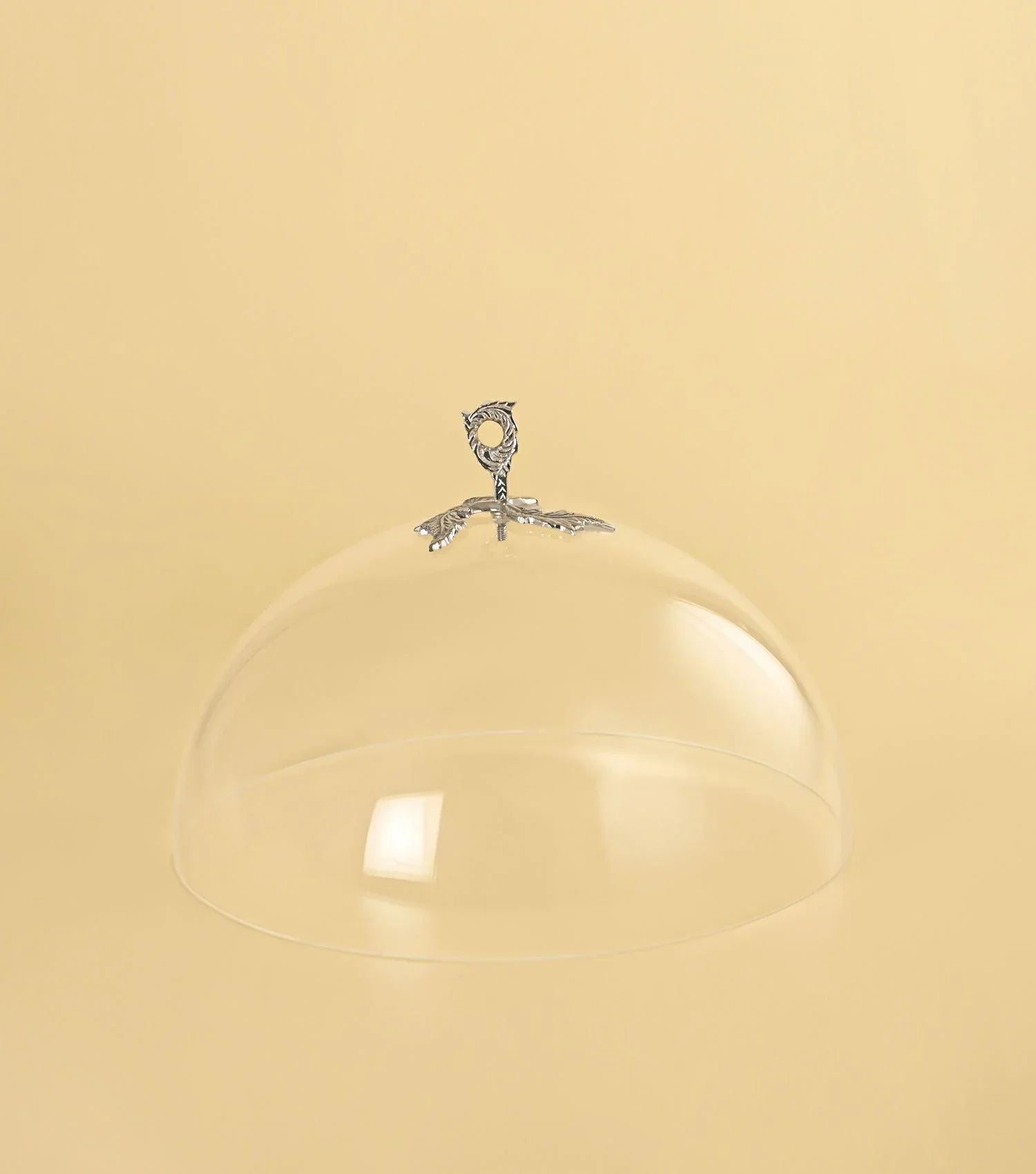 Acrylic food cover round Large - Elvy Lifestyle