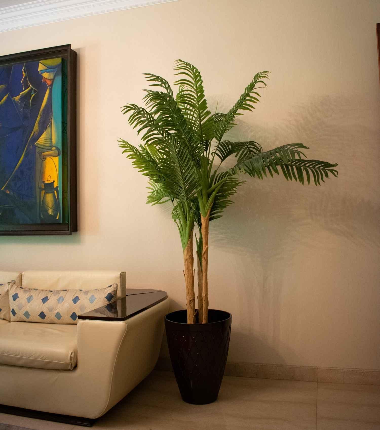 Fern Tree Potted Large - Elvy Lifestyle
