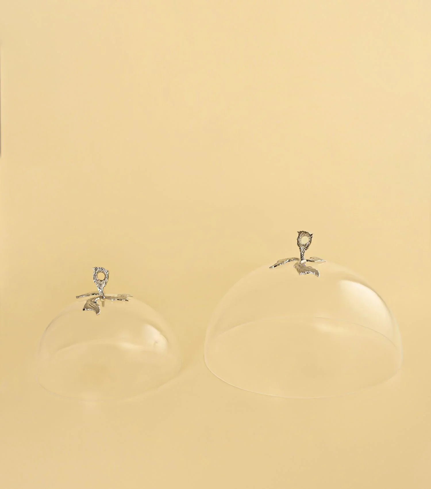 Acrylic food cover round Large - Elvy Lifestyle