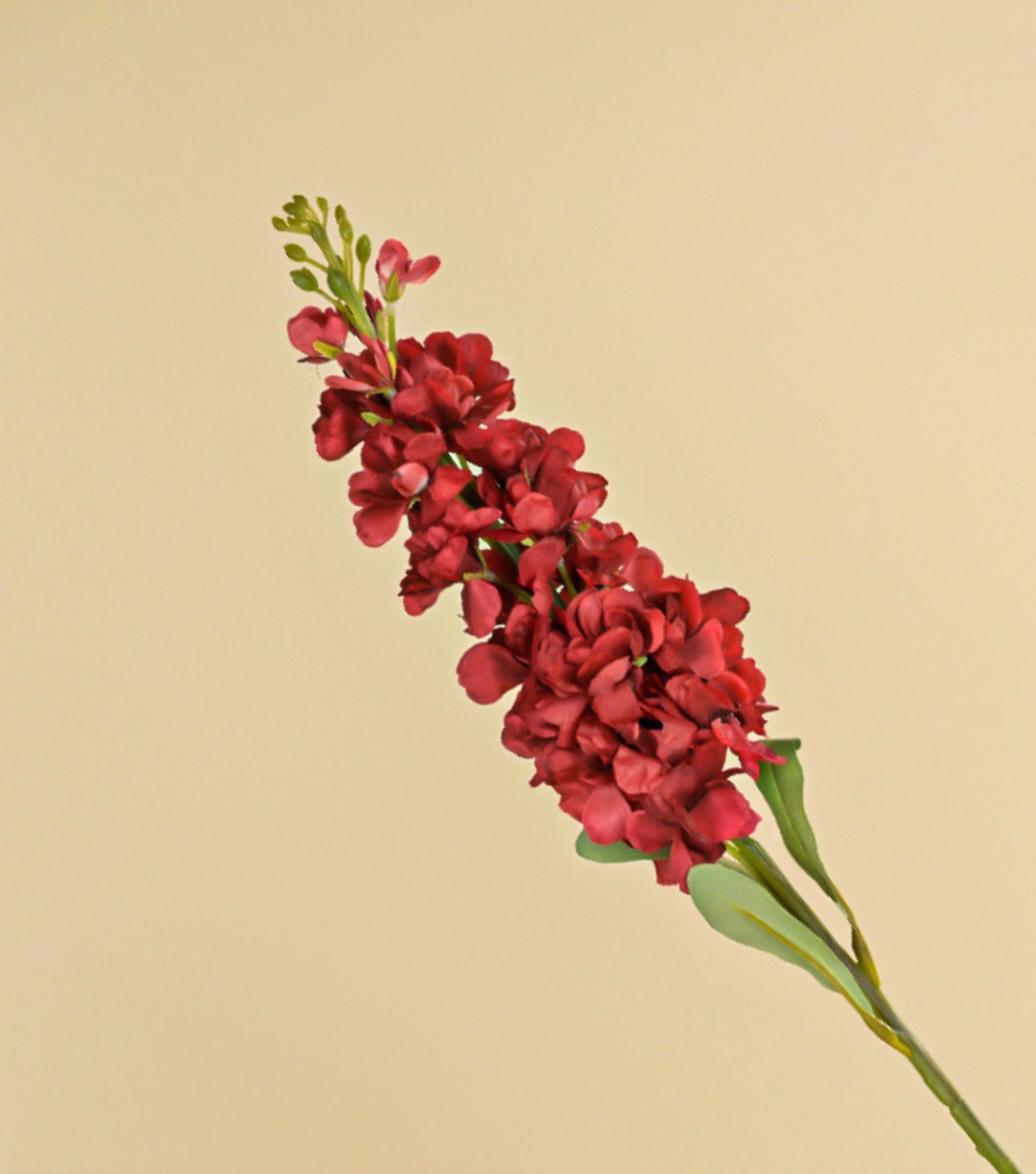 Red Delphinium 31.5"
