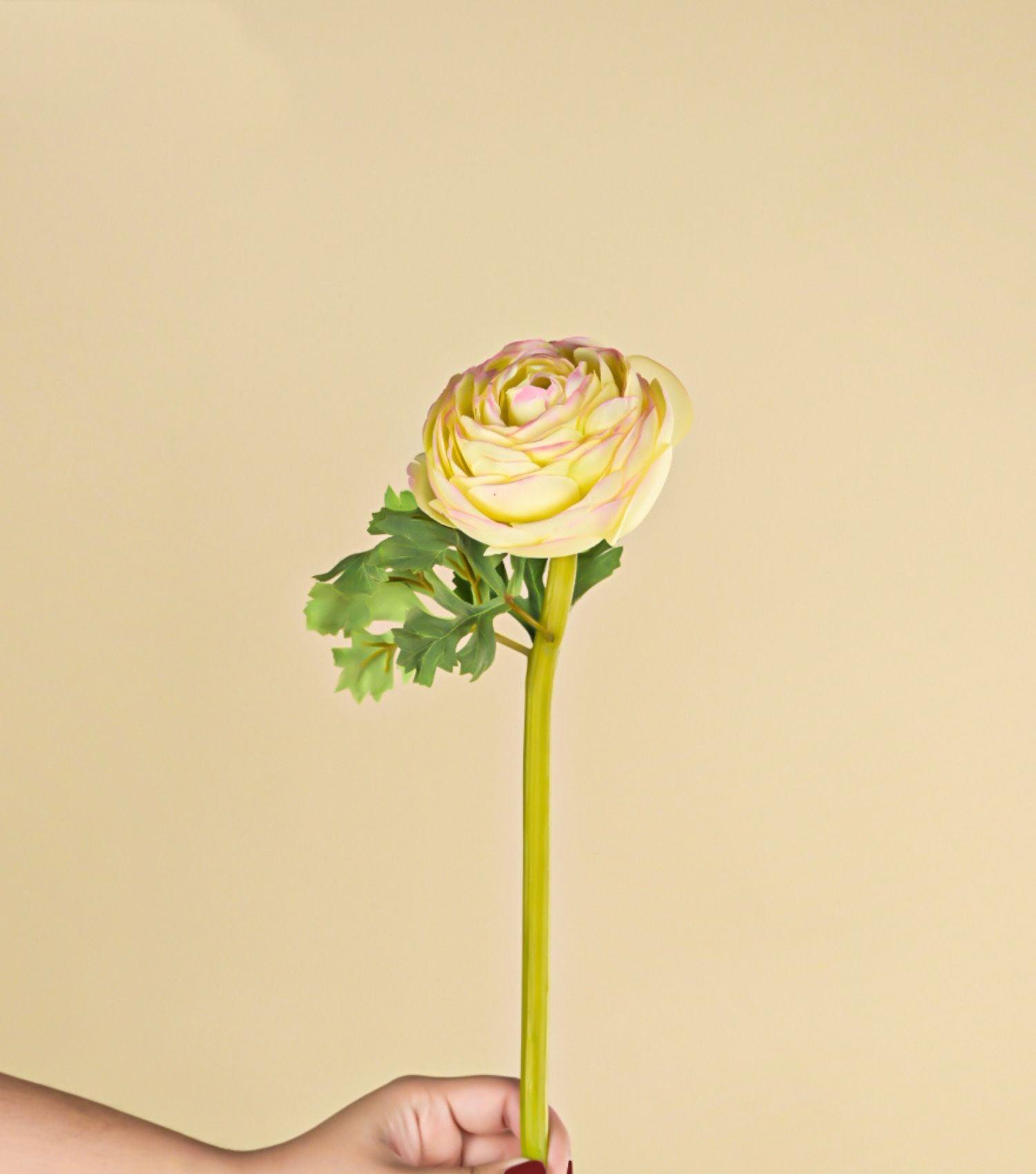 Green/Pink Ranunculus 20.75" - Elvy Lifestyle