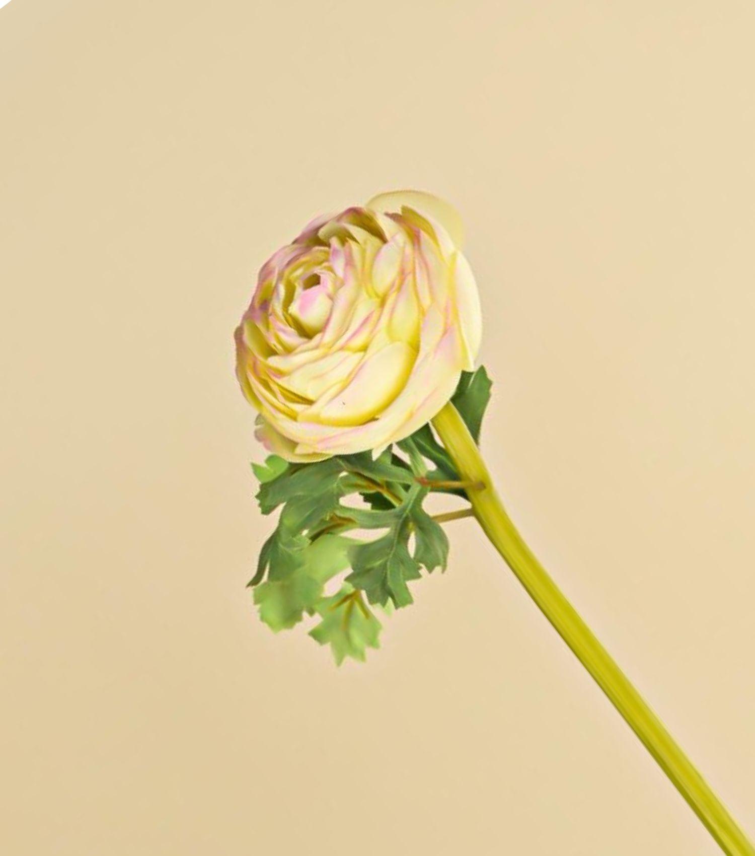 Green/Pink Ranunculus 20.75" - Elvy Lifestyle