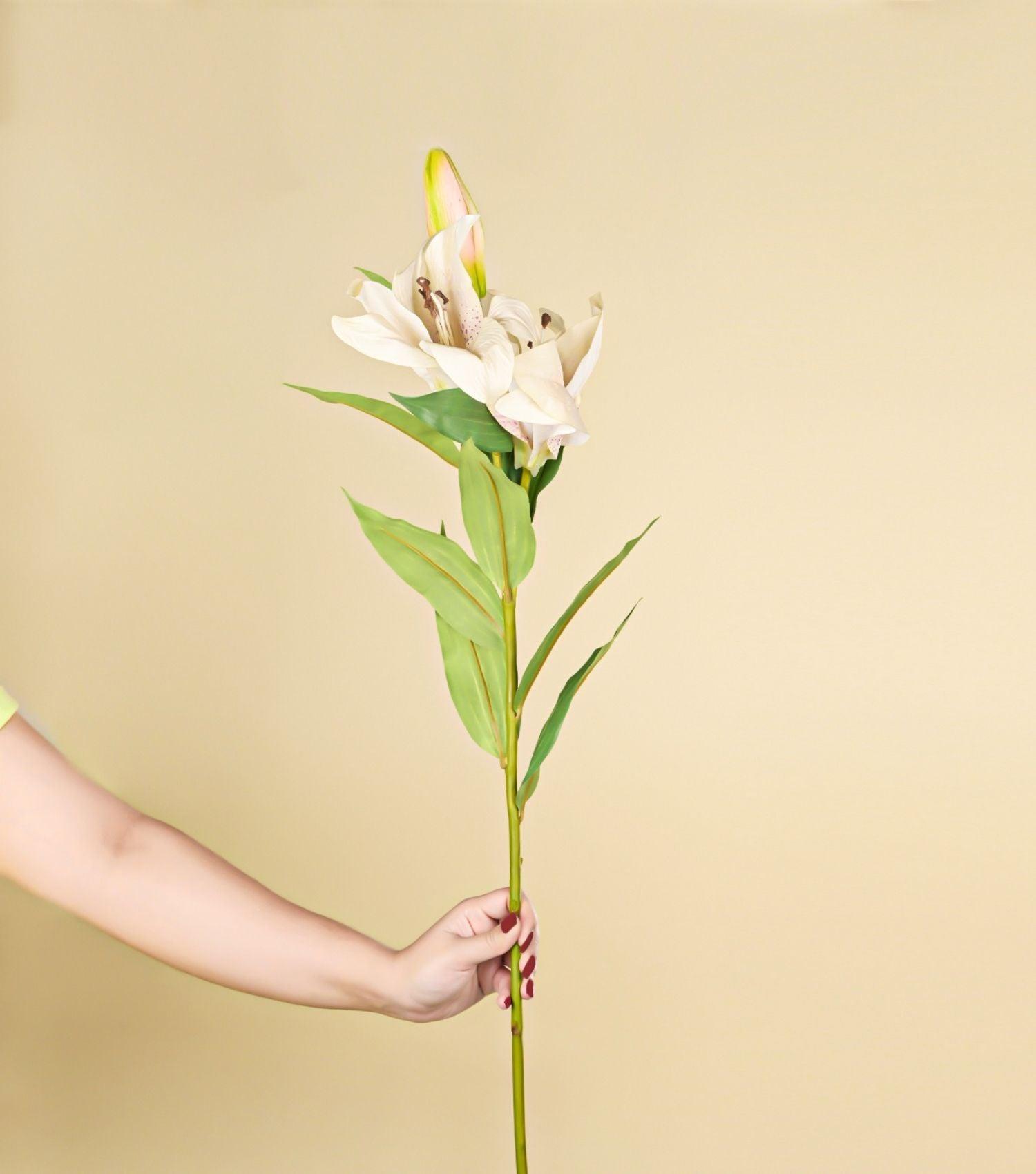 Light Pink Lily 37.5" - Elvy Lifestyle