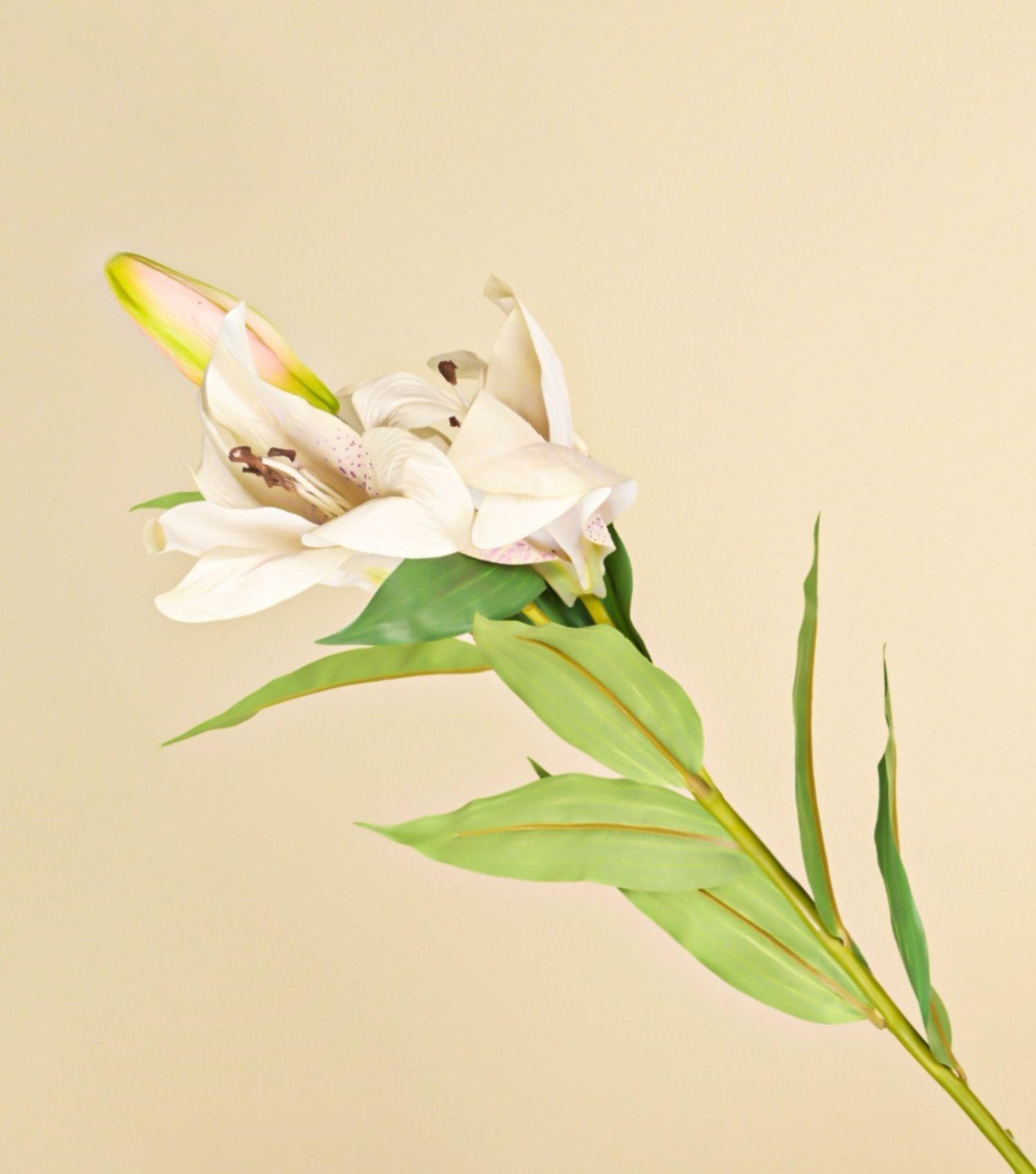 Light Pink Lily 37.5" - Elvy Lifestyle