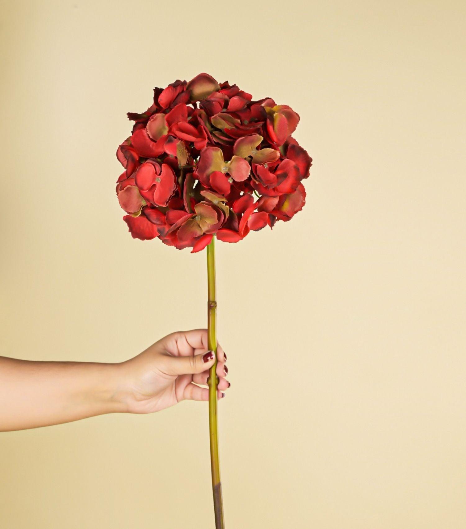 Hydrangea Red 19.75" - Elvy Lifestyle