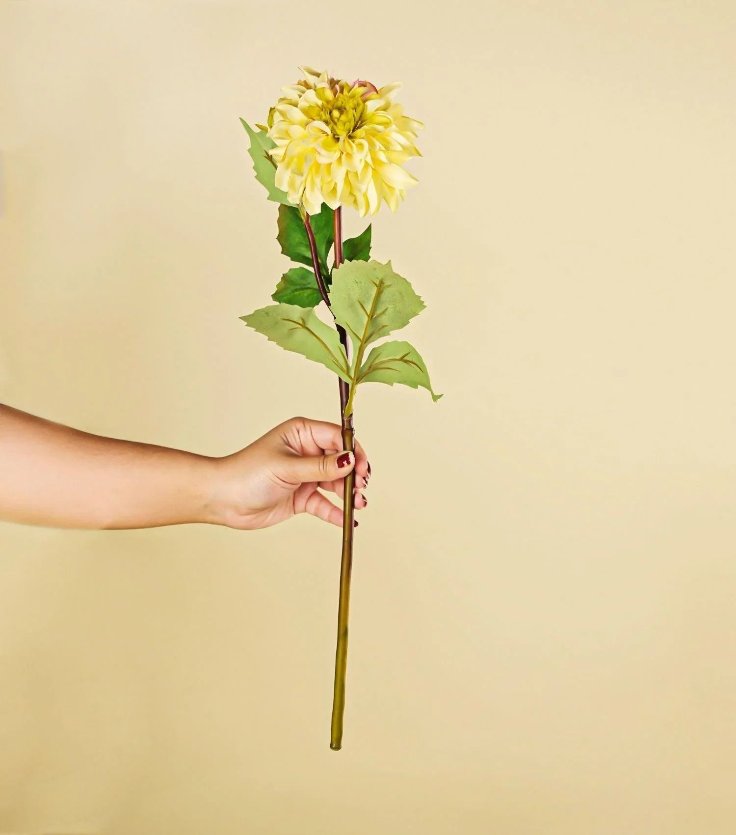 Yellow Dahlia 19.75" - Elvy Lifestyle