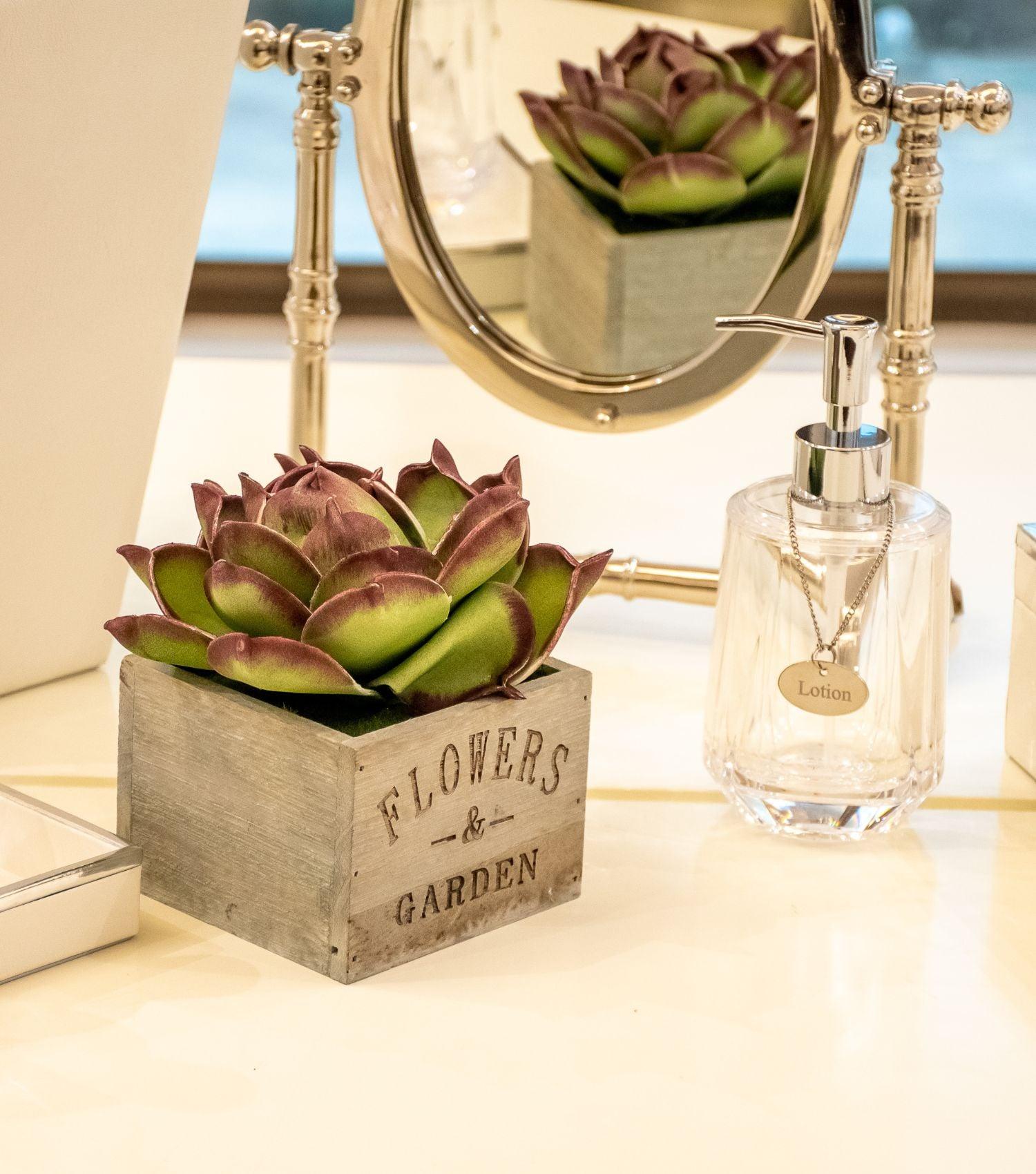 Agave Plant in pot - Elvy Lifestyle