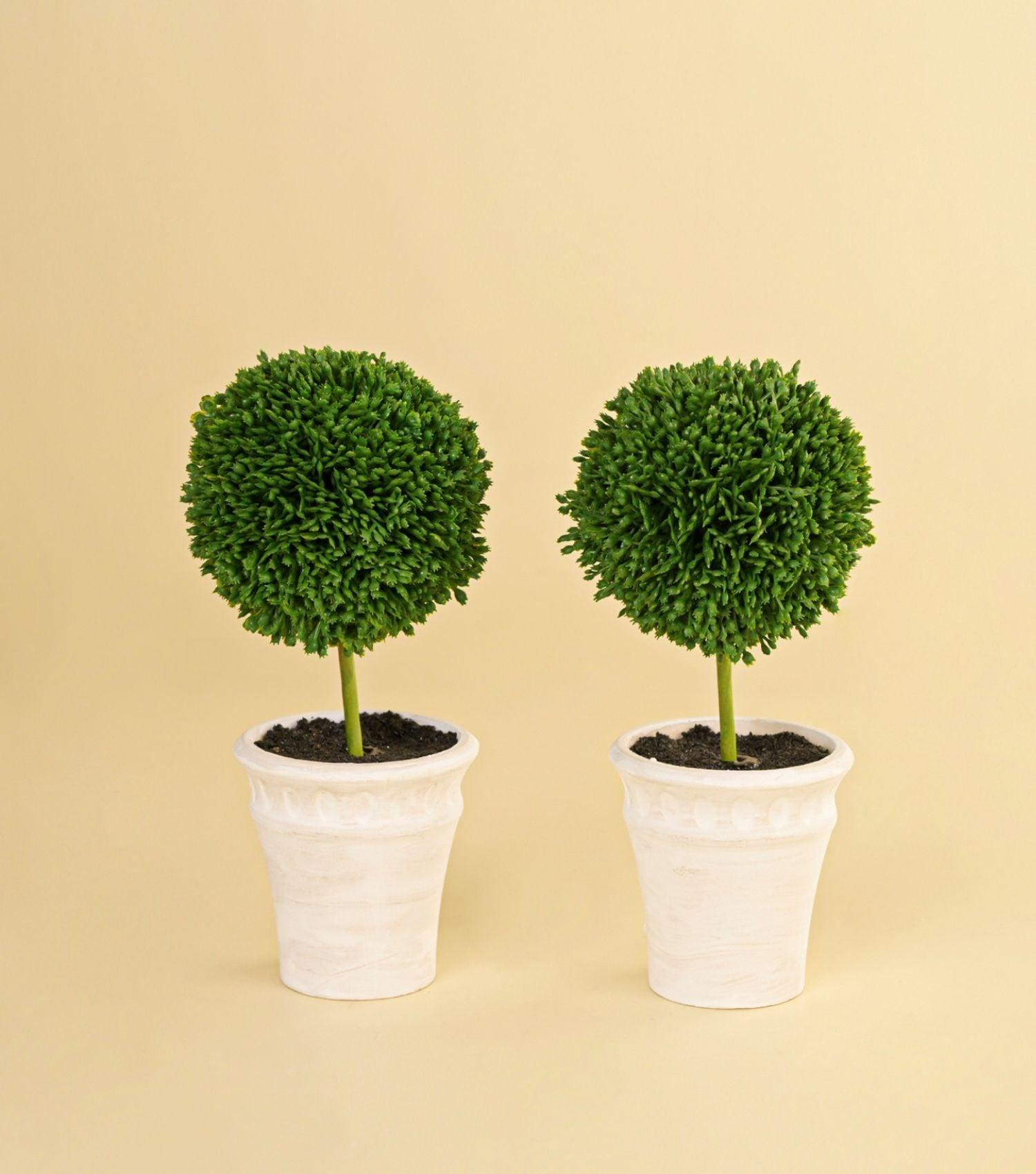 Faux Topiaries Set of 2 - Elvy Lifestyle