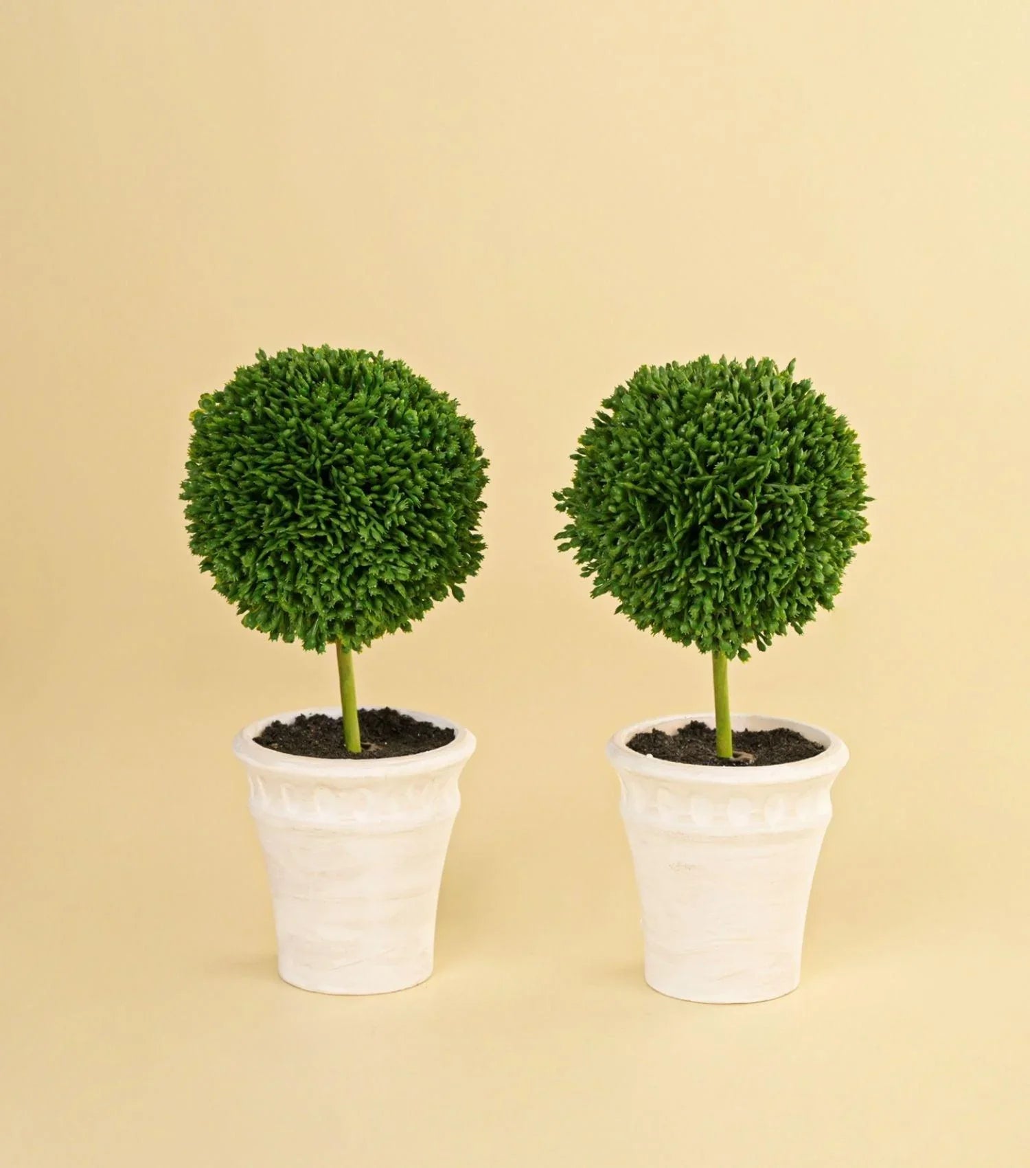 Faux Topiaries Set of 2 - Elvy Lifestyle