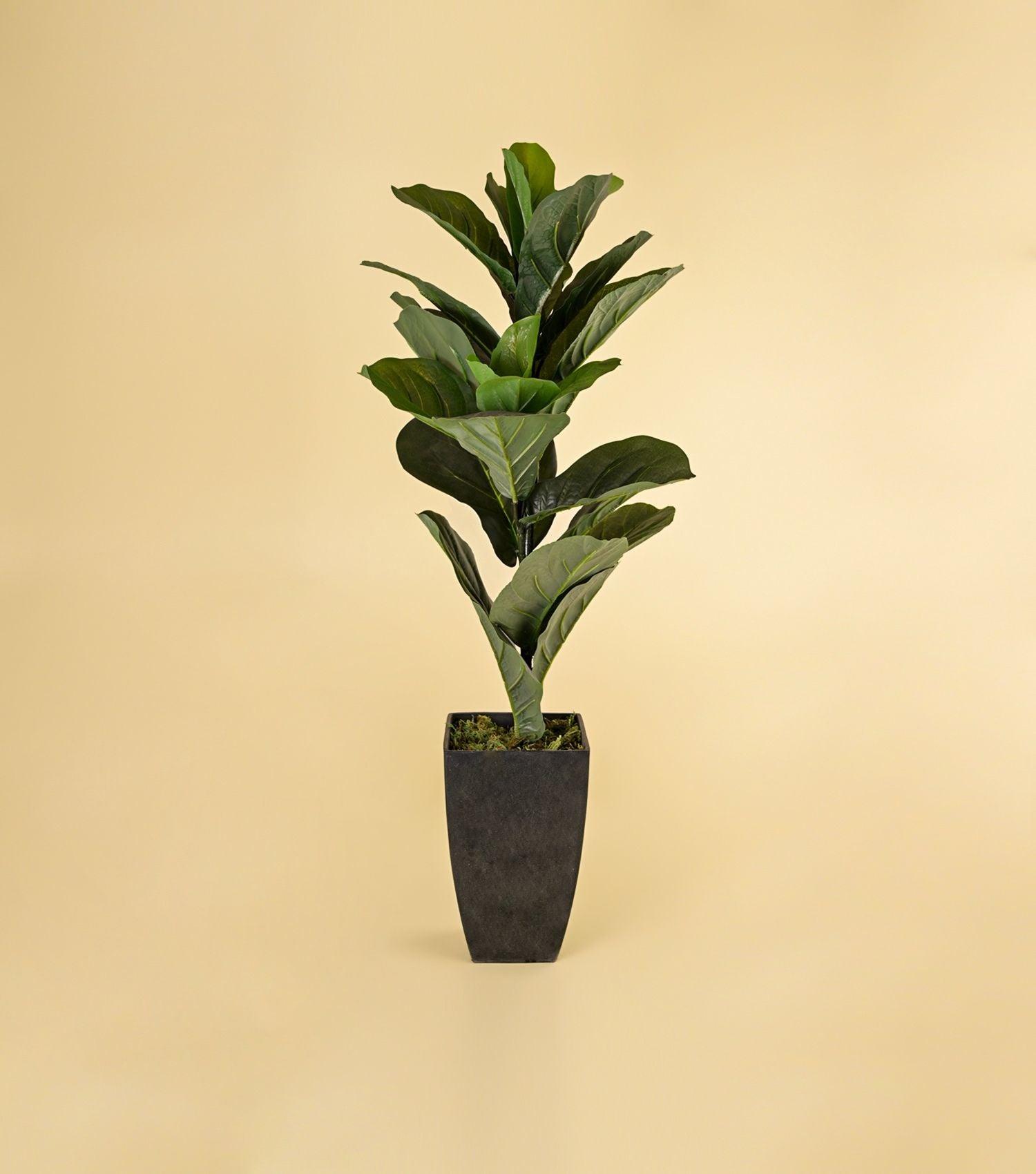 Fiddle-Leaf Fig Potted Plant - Elvy Lifestyle
