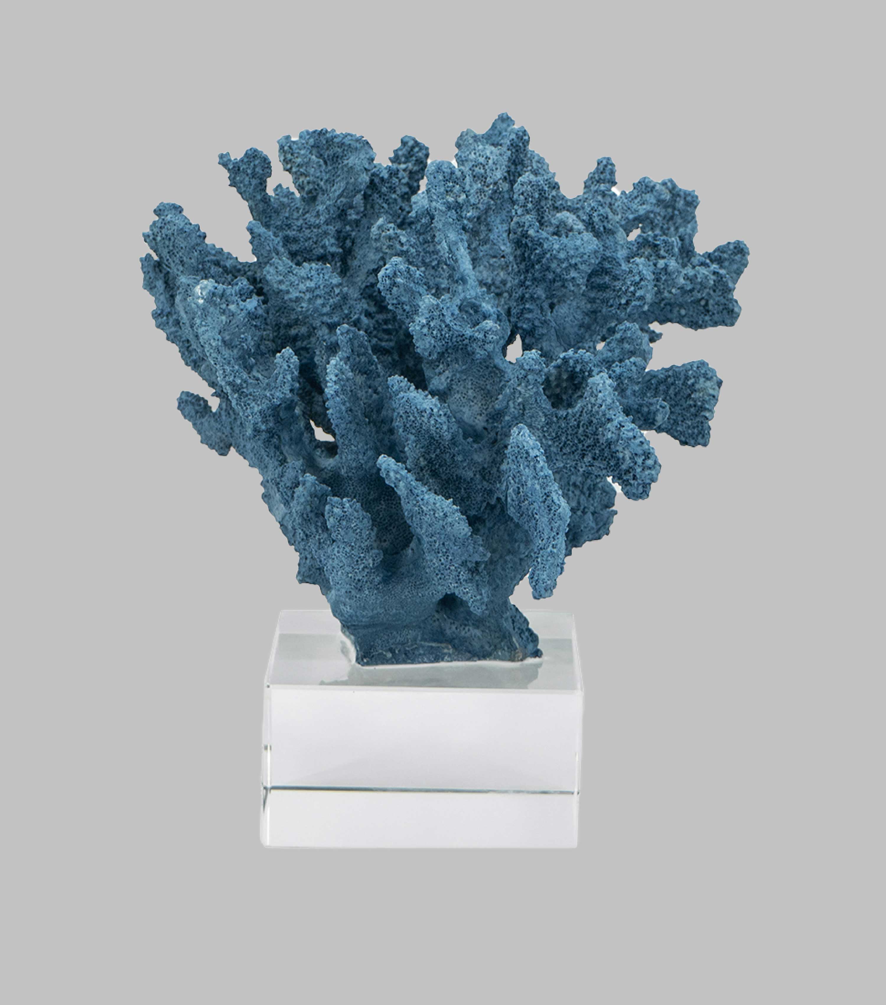 Coral Art Blue on Stand