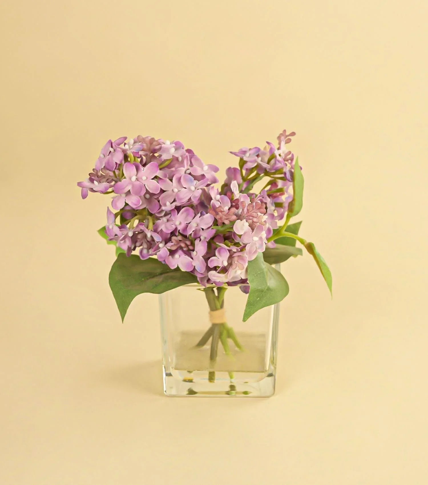 Hydrangea Lilac Pot - Elvy Lifestyle