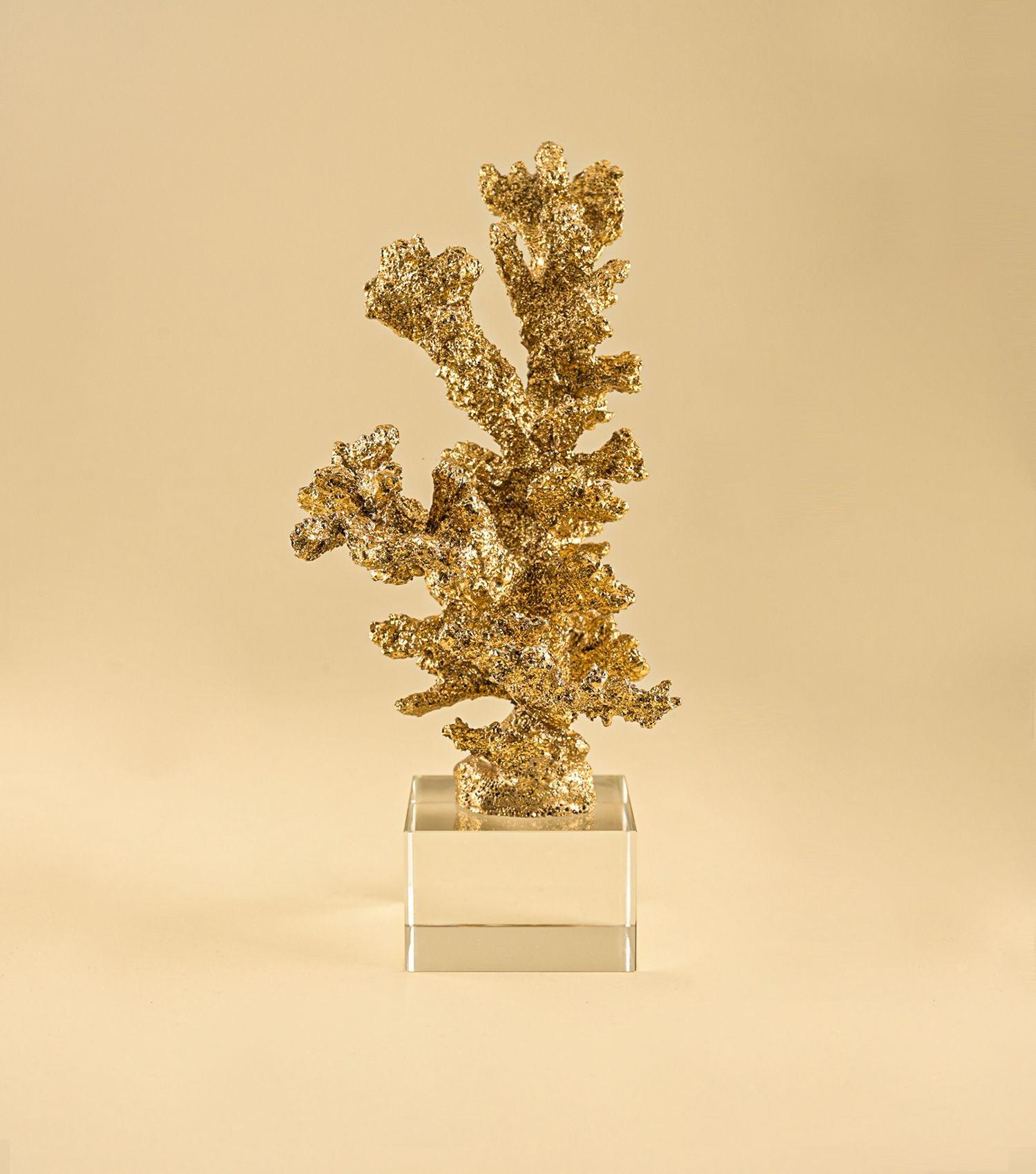 Coral reef Gold - Elvy Lifestyle