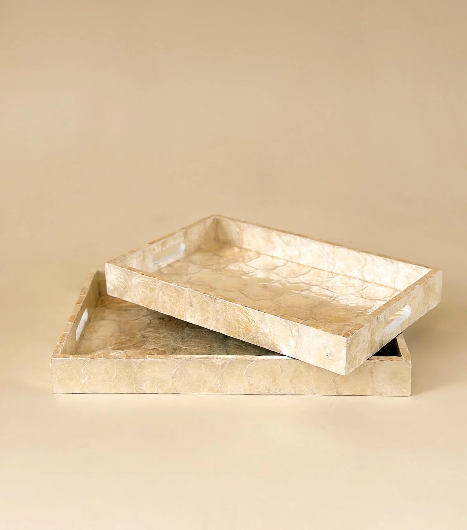 Ocean Mist Seashell Tray - Small