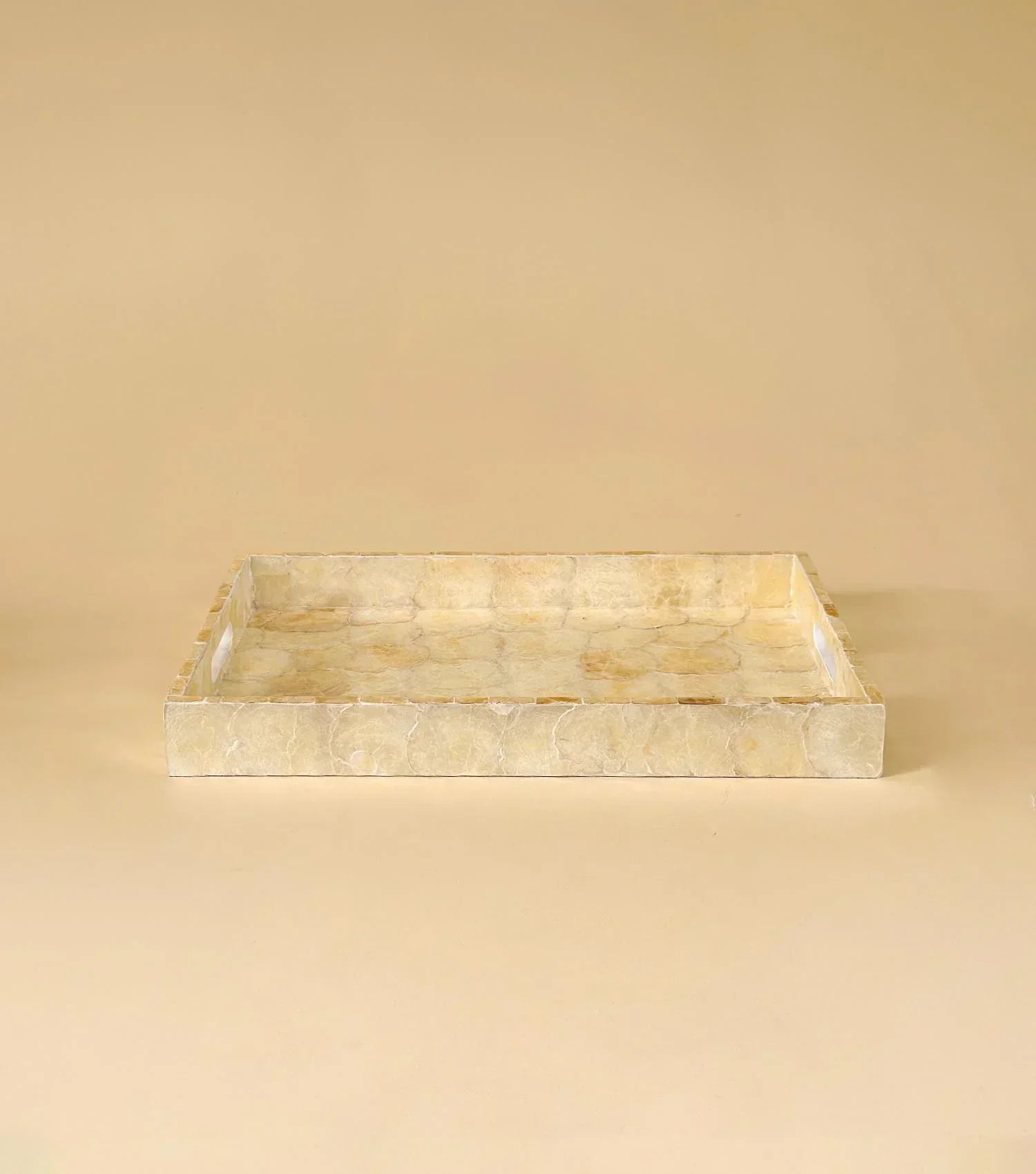 Ocean Mist Seashell Tray - Large