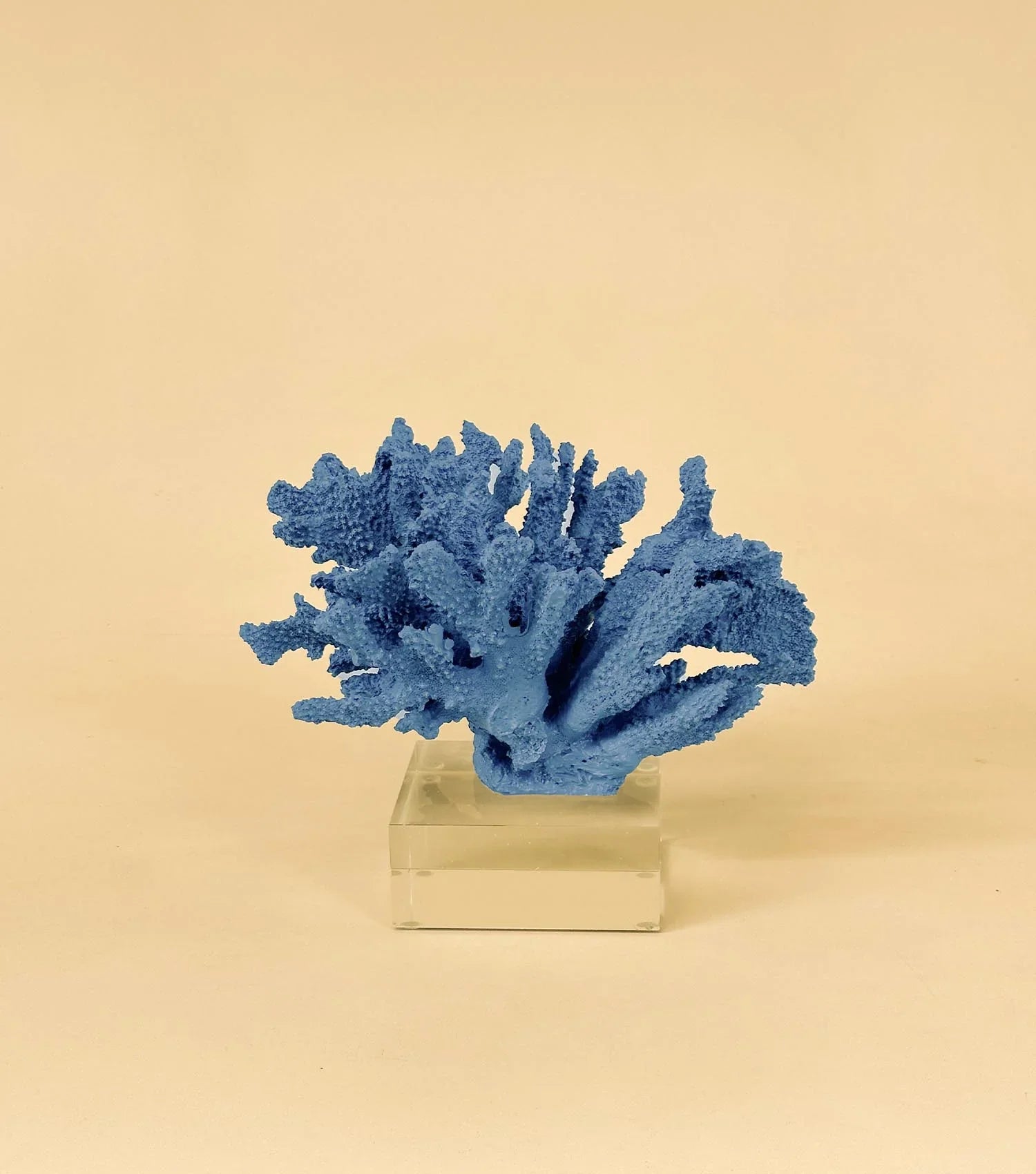 Coral Art Blue on Stand