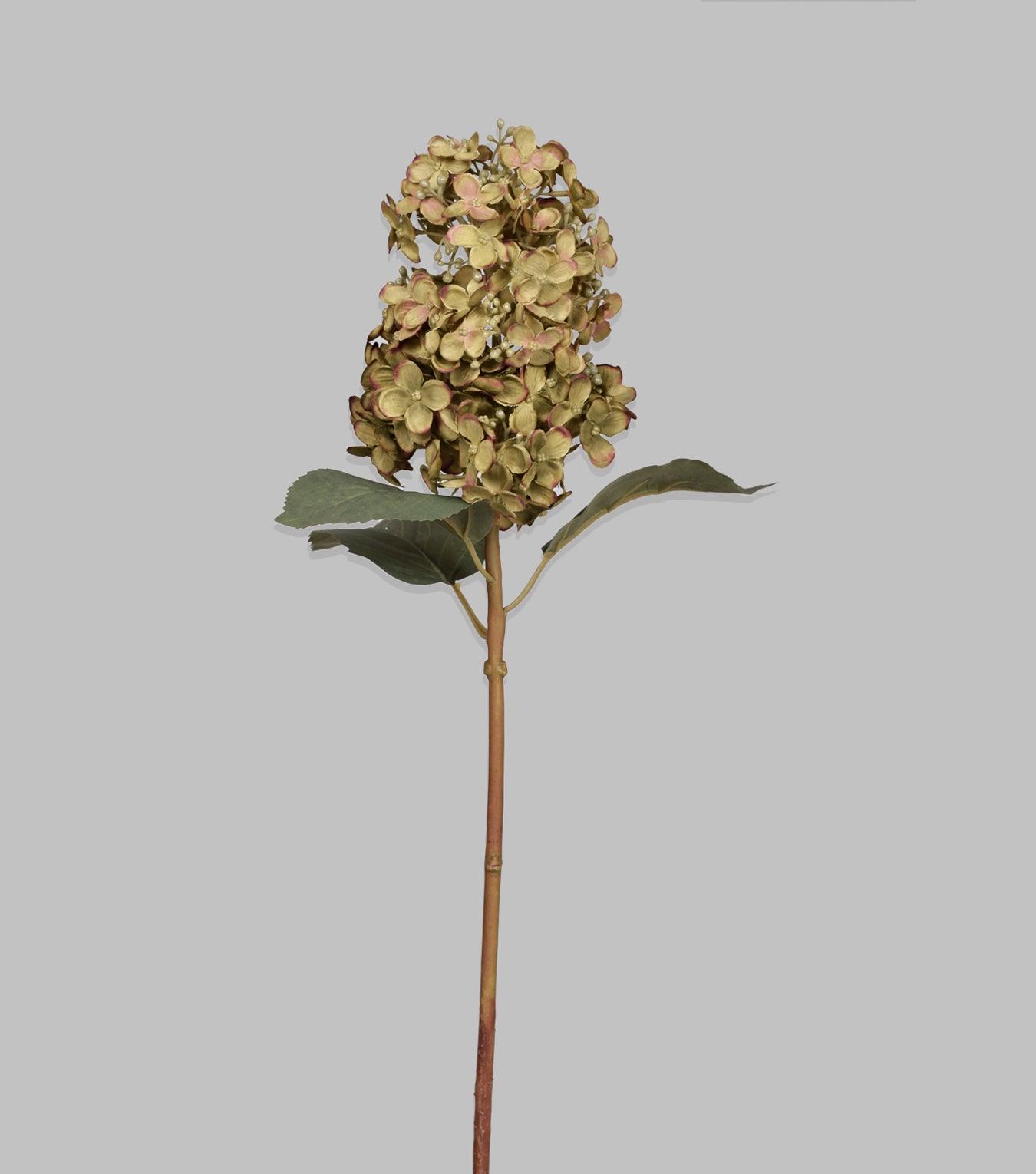 Hydrangea Cone Green 20.5" - Elvy Lifestyle