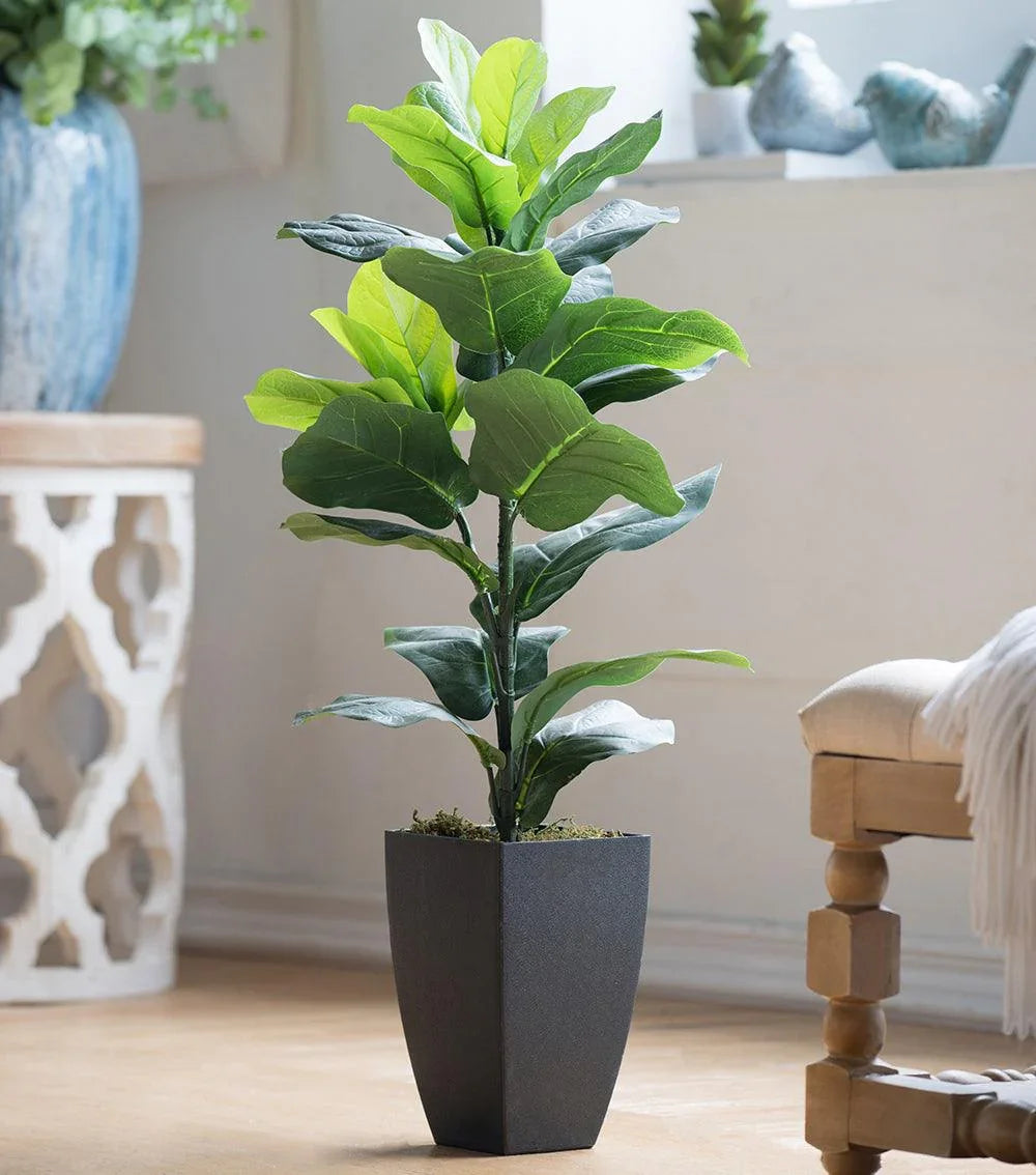 Fiddle-Leaf Fig Potted Plant - Elvy Lifestyle