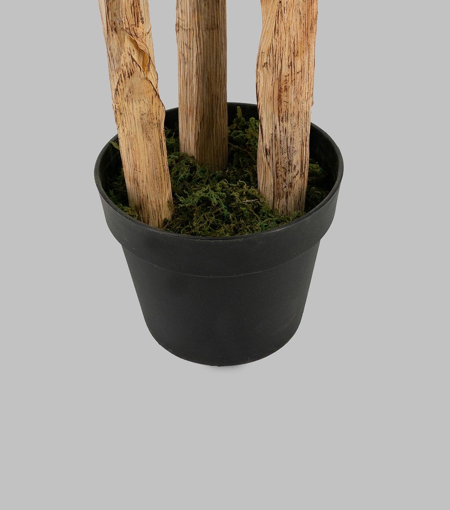 Fern Tree Potted Large - Elvy Lifestyle