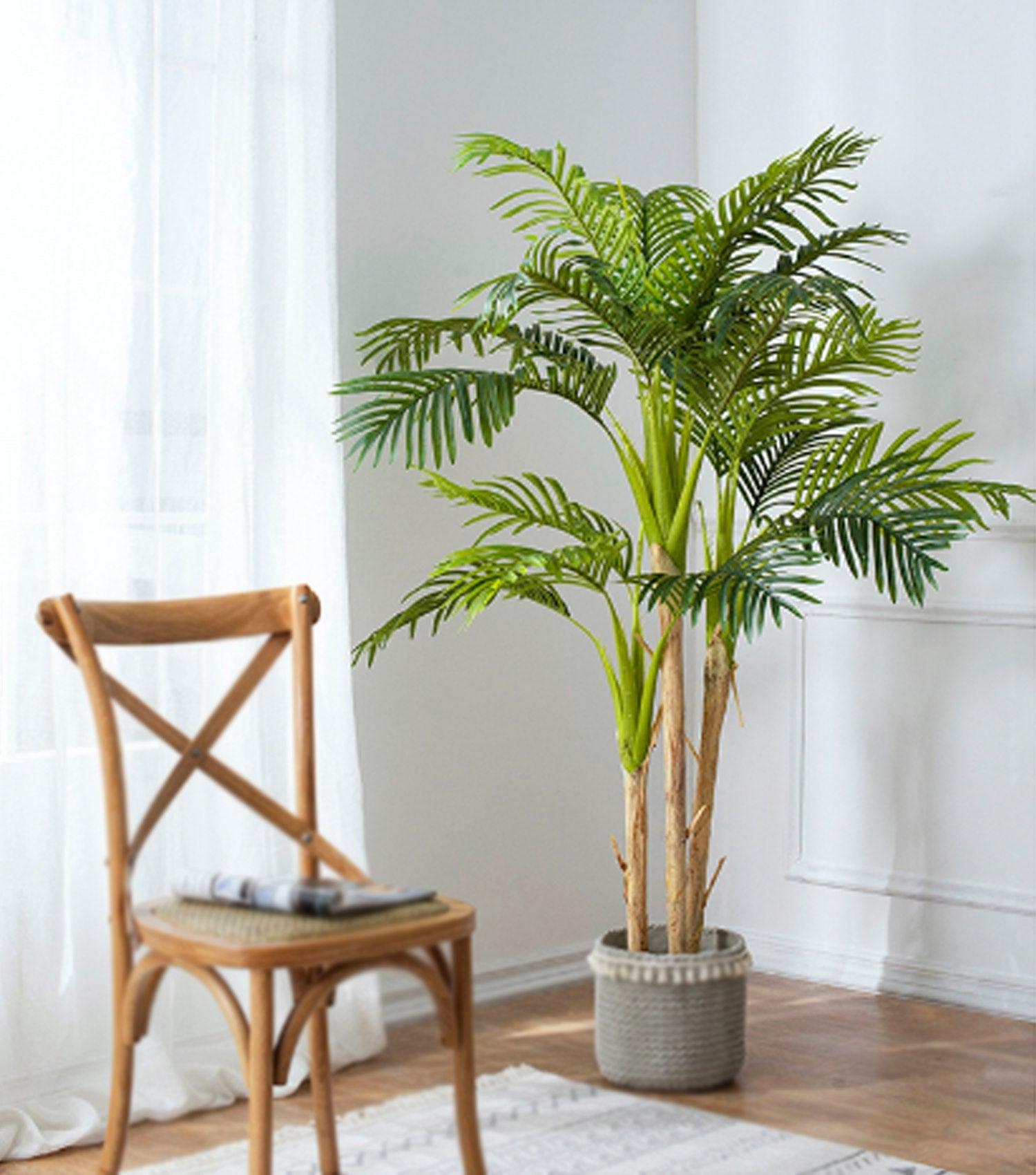 Fern Tree Potted Large - Elvy Lifestyle