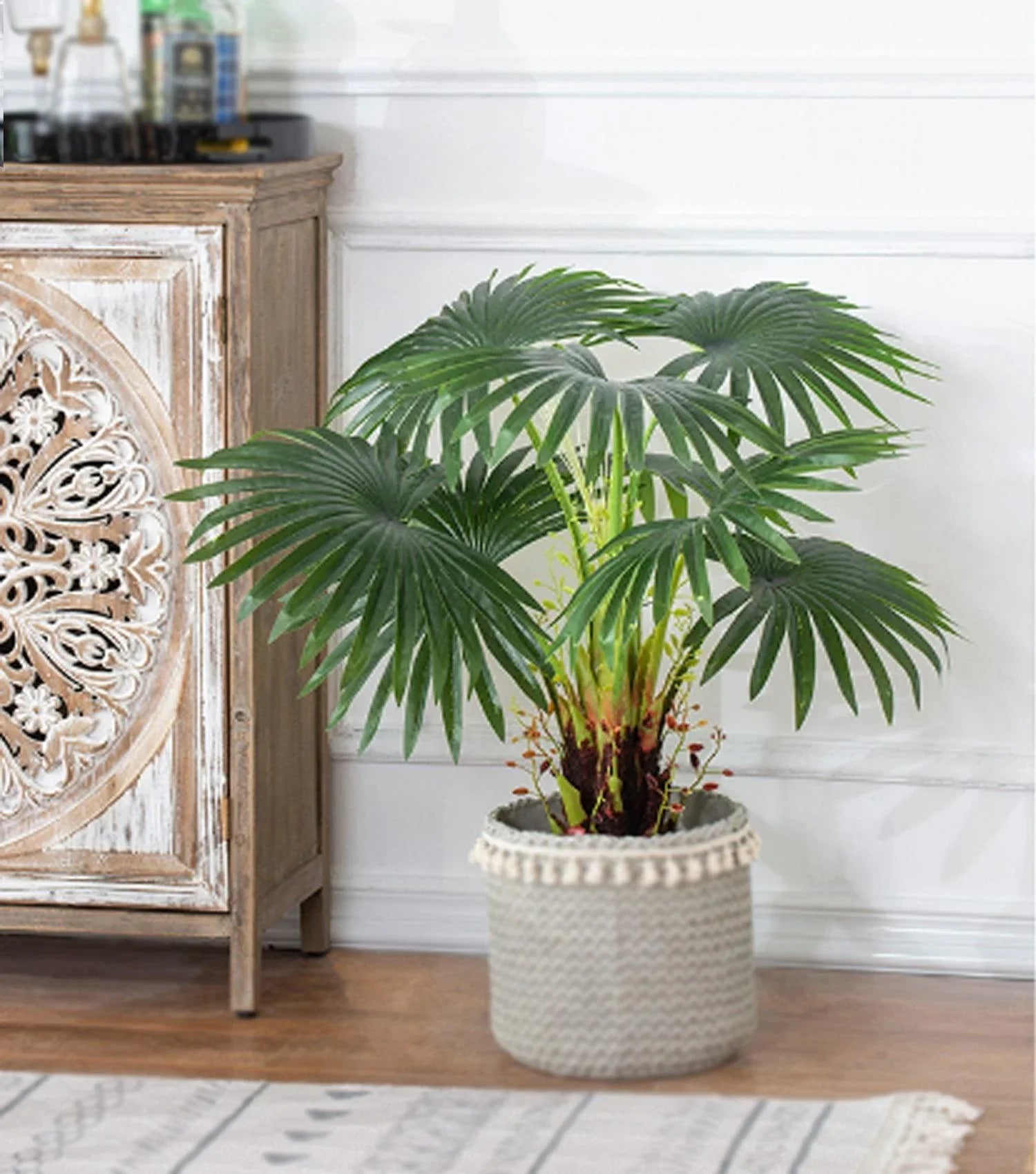 Fern Tree Potted Small - Elvy Lifestyle