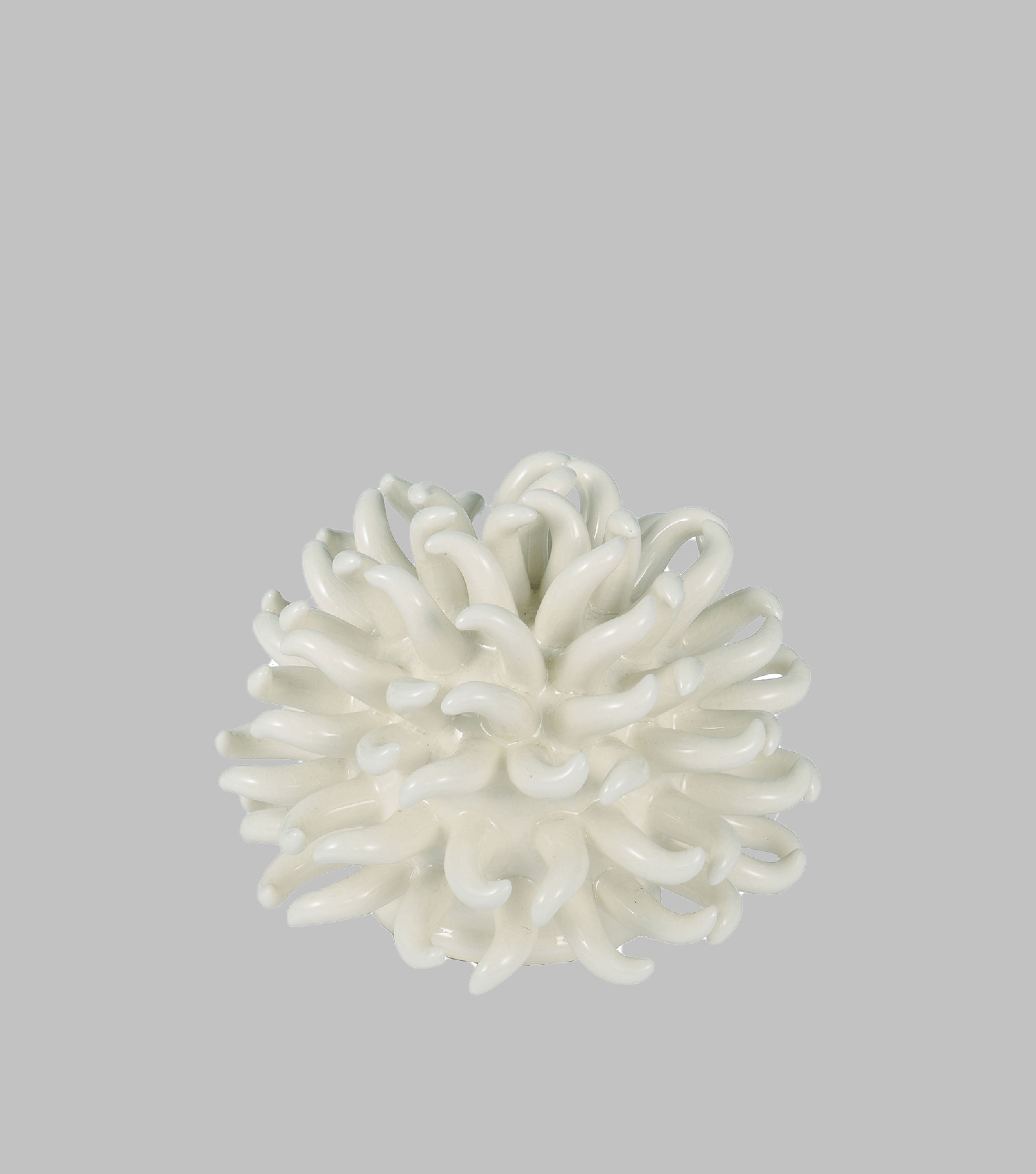 Sea Urchin White