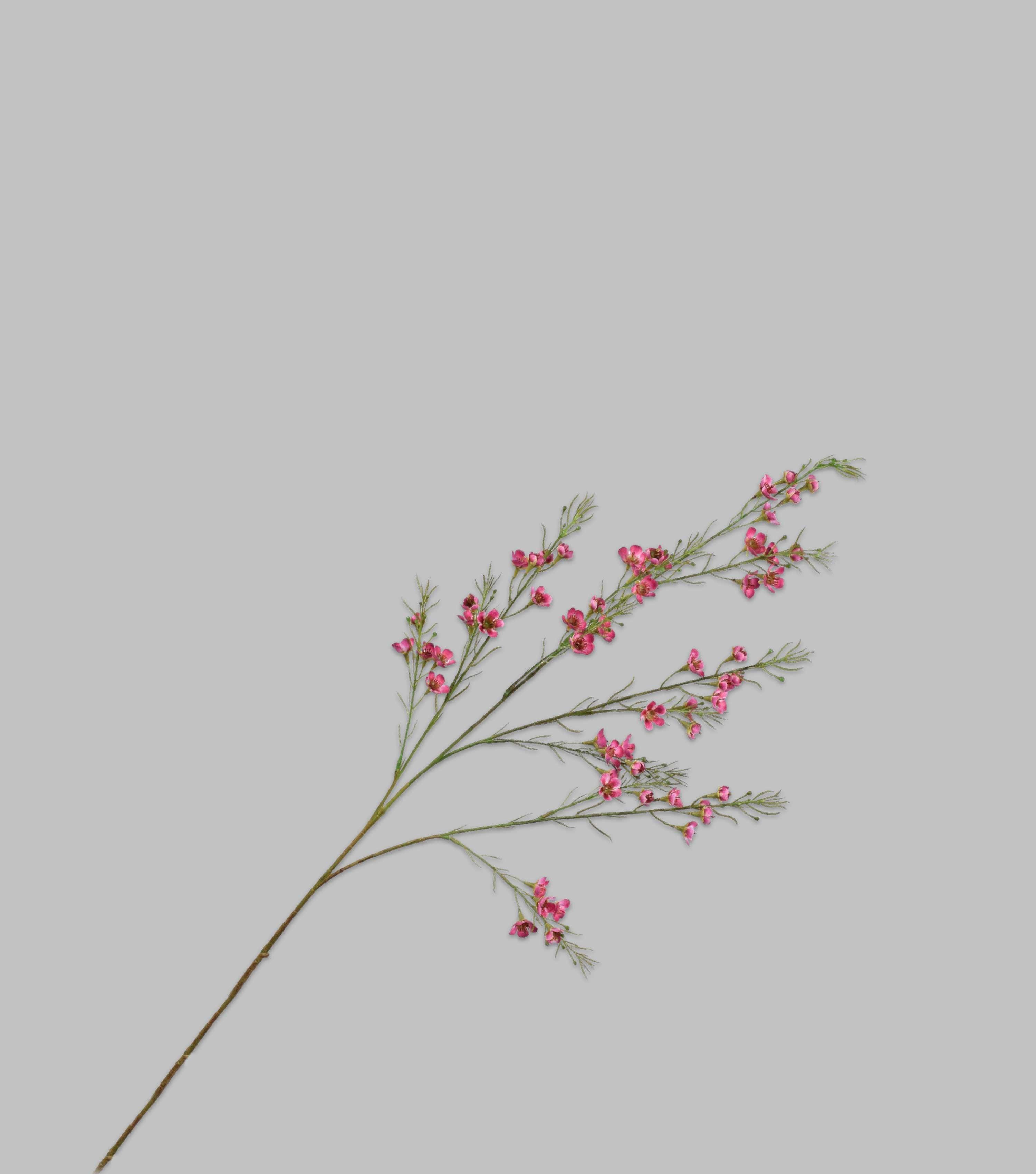 Waxflower Spray Pink 43" - Elvy Lifestyle