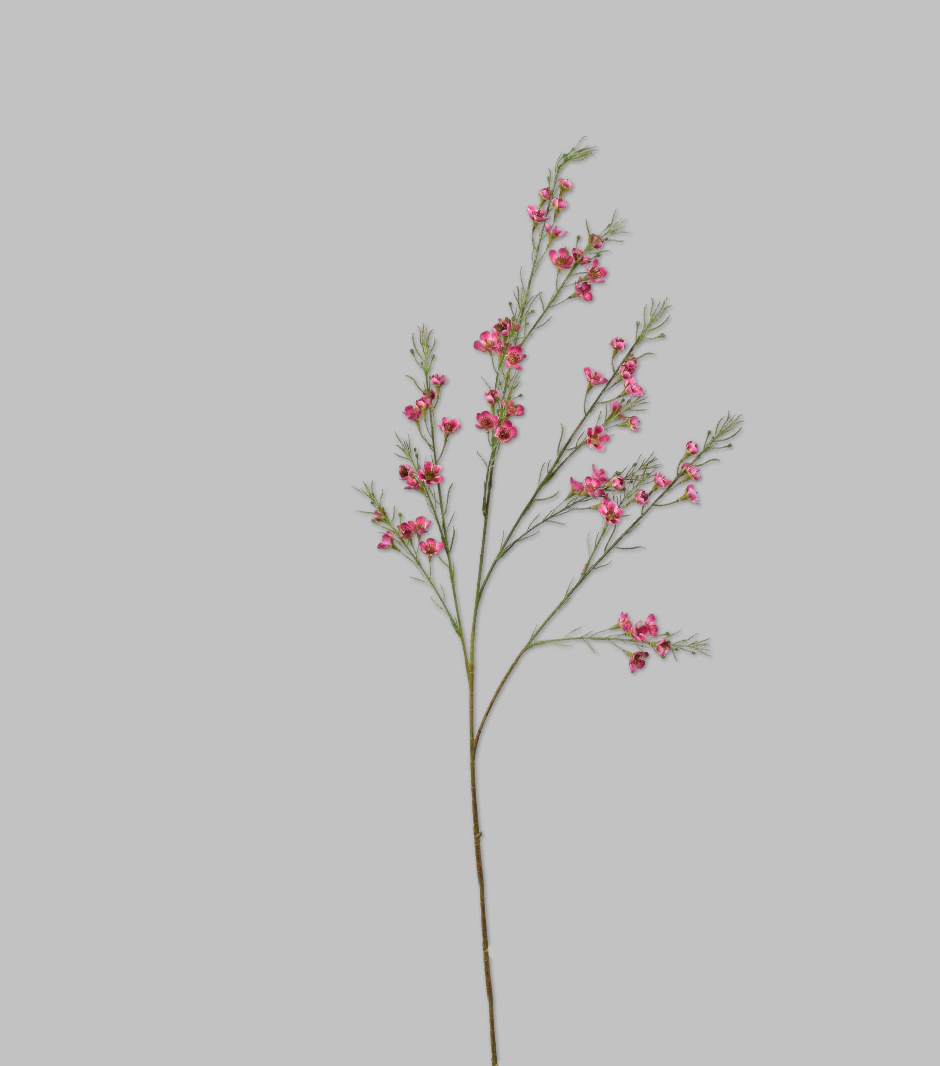 Waxflower Spray Pink 43" - Elvy Lifestyle
