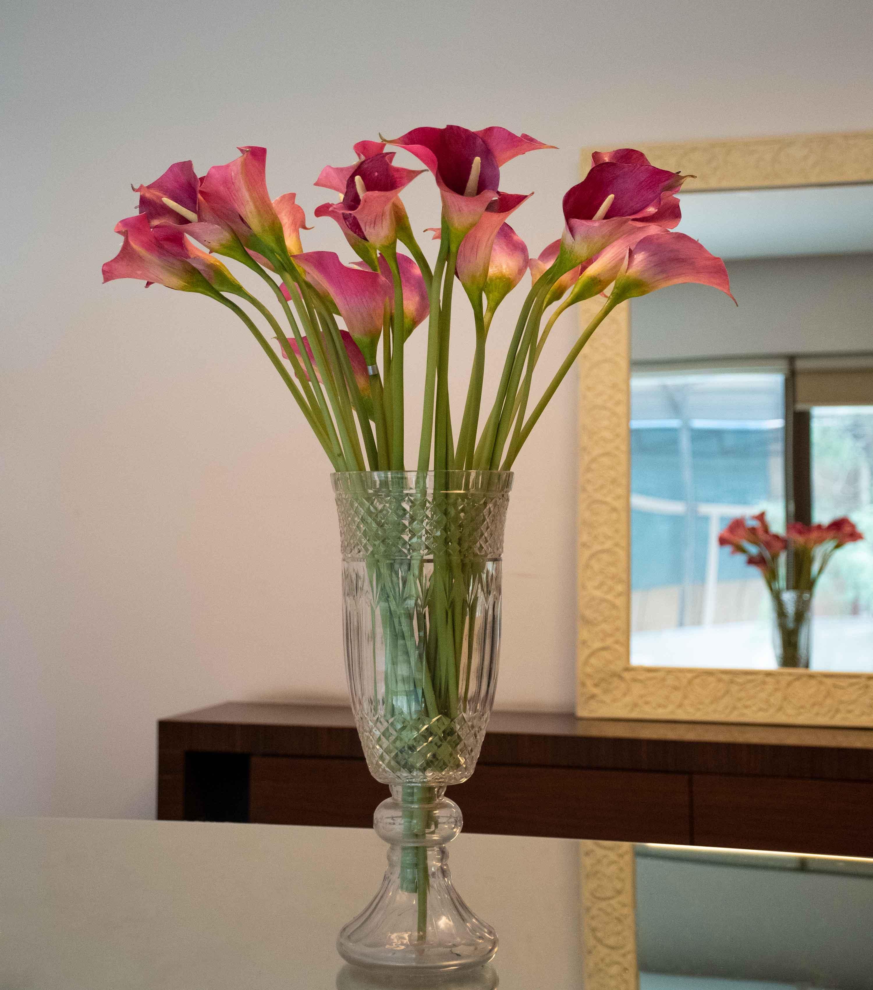 Calla Stem Dark Pink 21" - Elvy Lifestyle