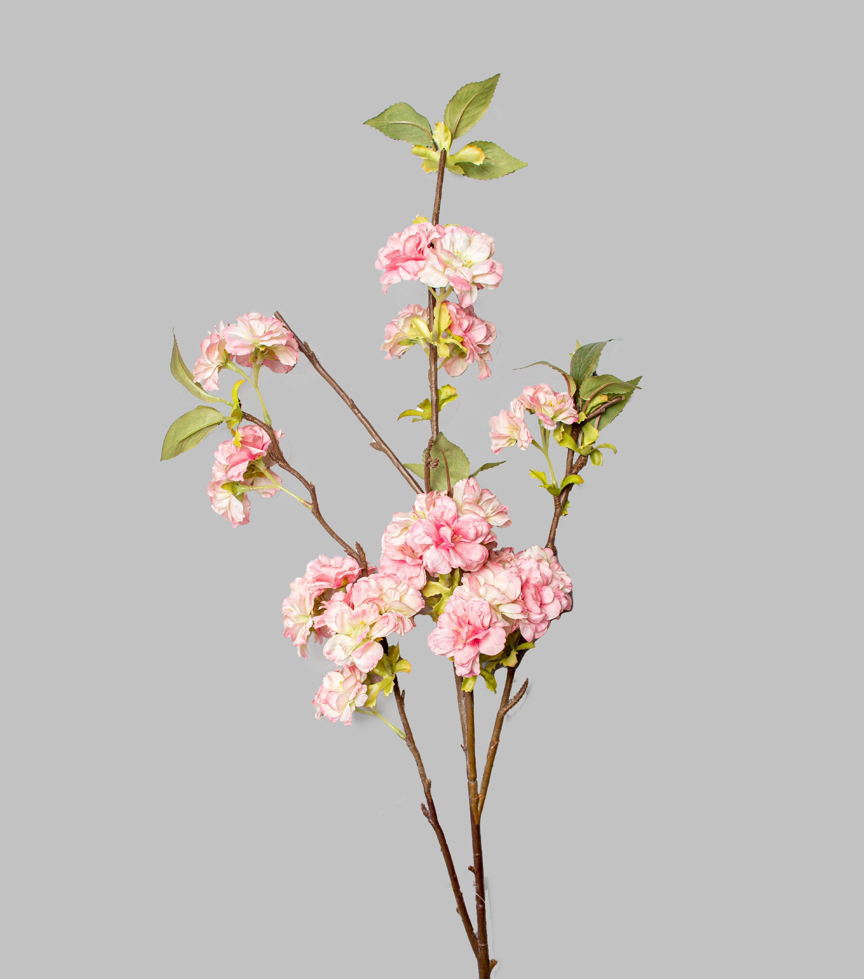Light Pink Sakura 38.5" - Elvy Lifestyle