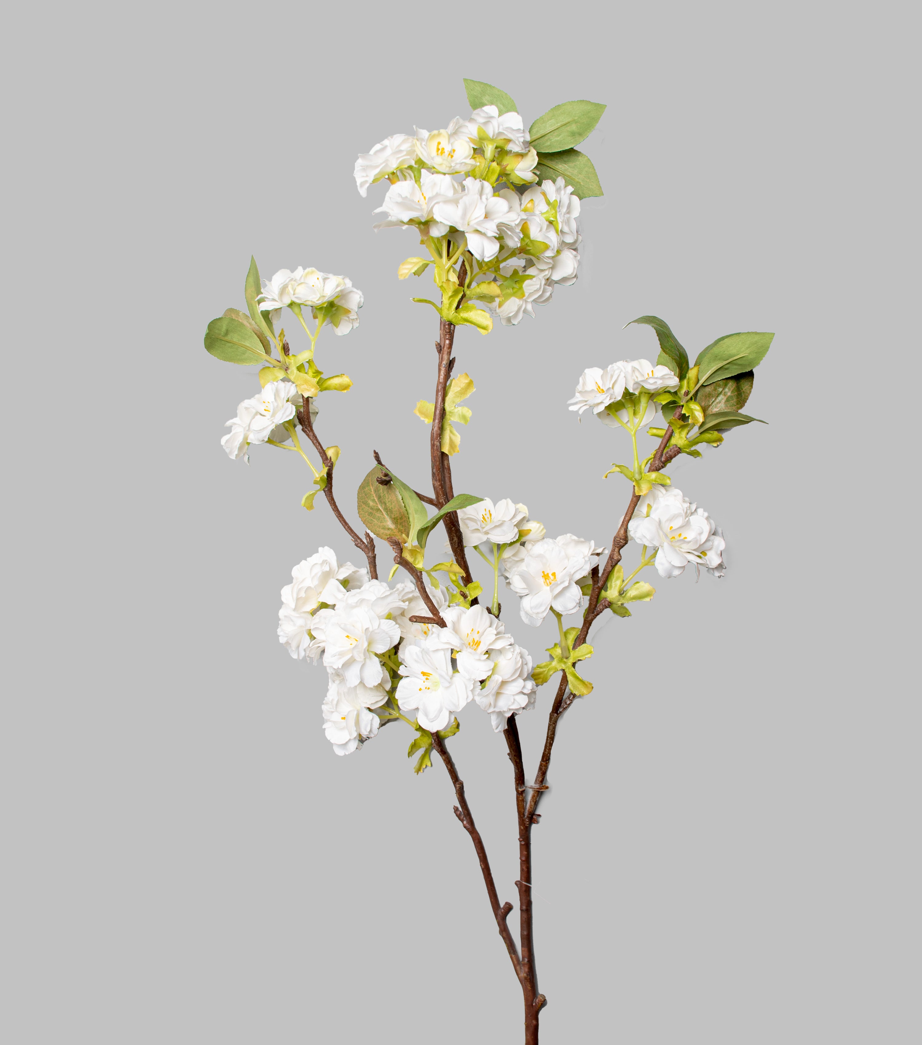 White Sakura 39"