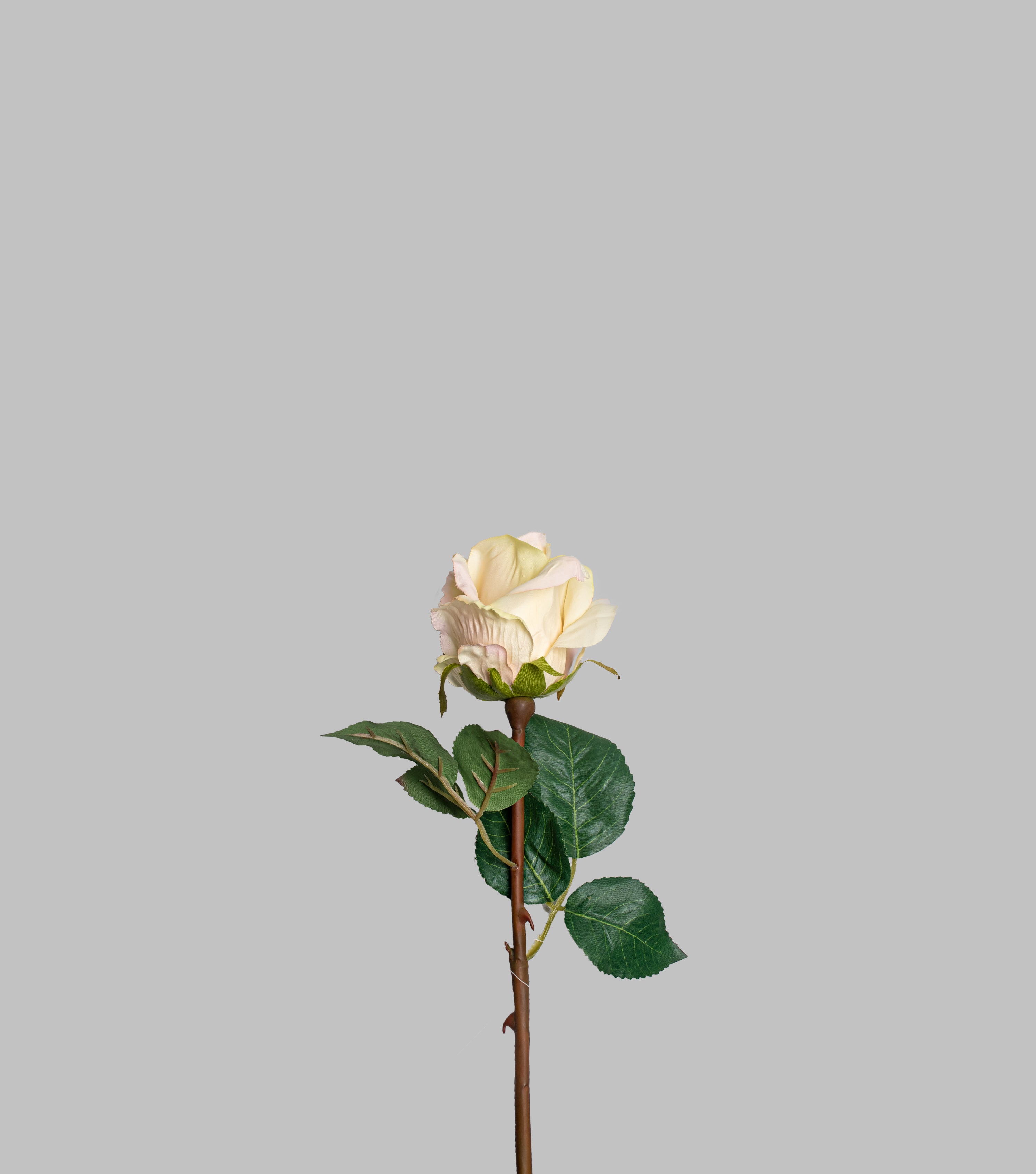 Light Yellow Rose 15.75"