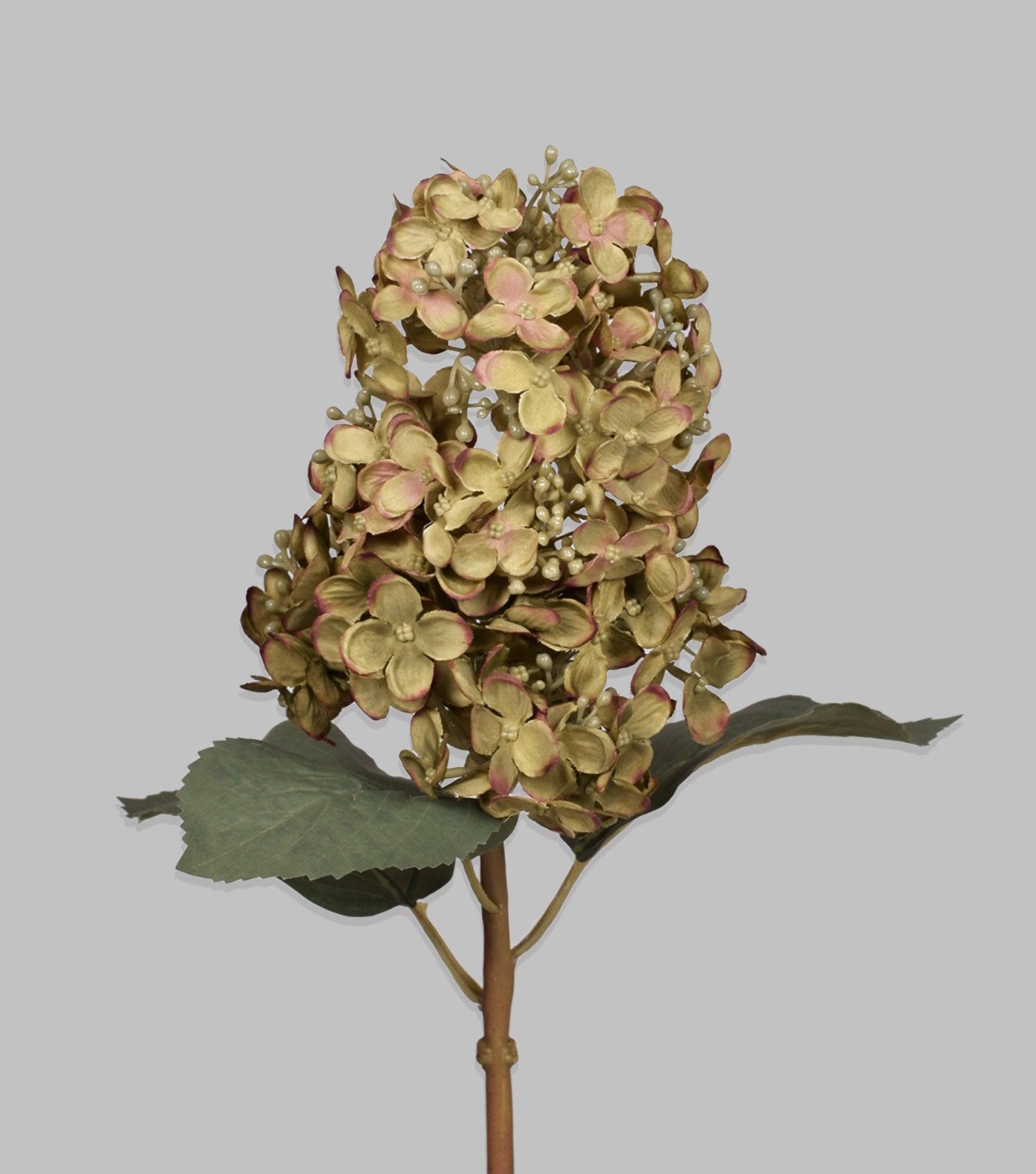 Hydrangea Cone Green 20.5" - Elvy Lifestyle
