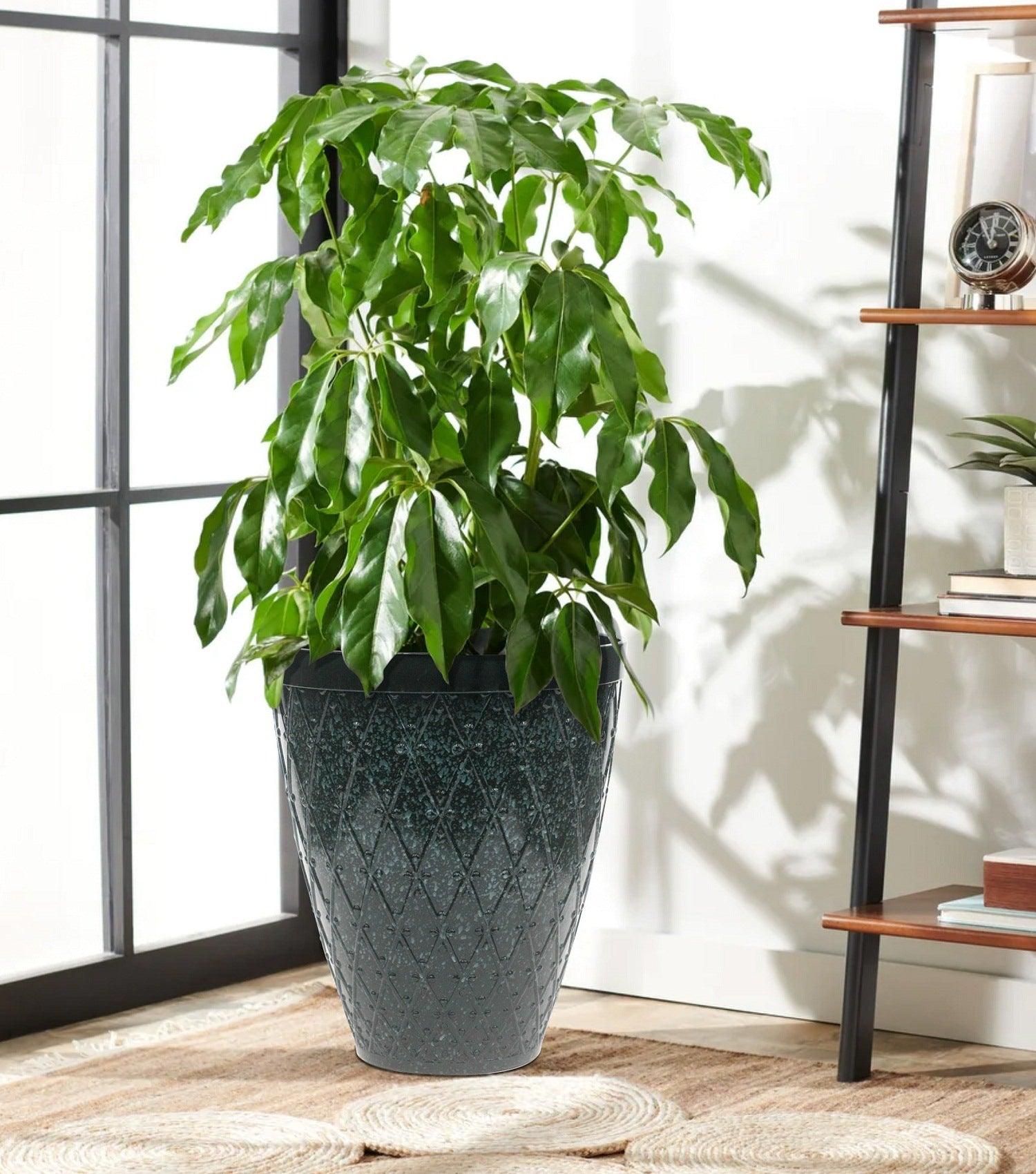 Velvet Planter green Large - Elvy Lifestyle