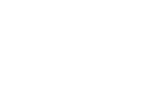 Elvy Lifestyle