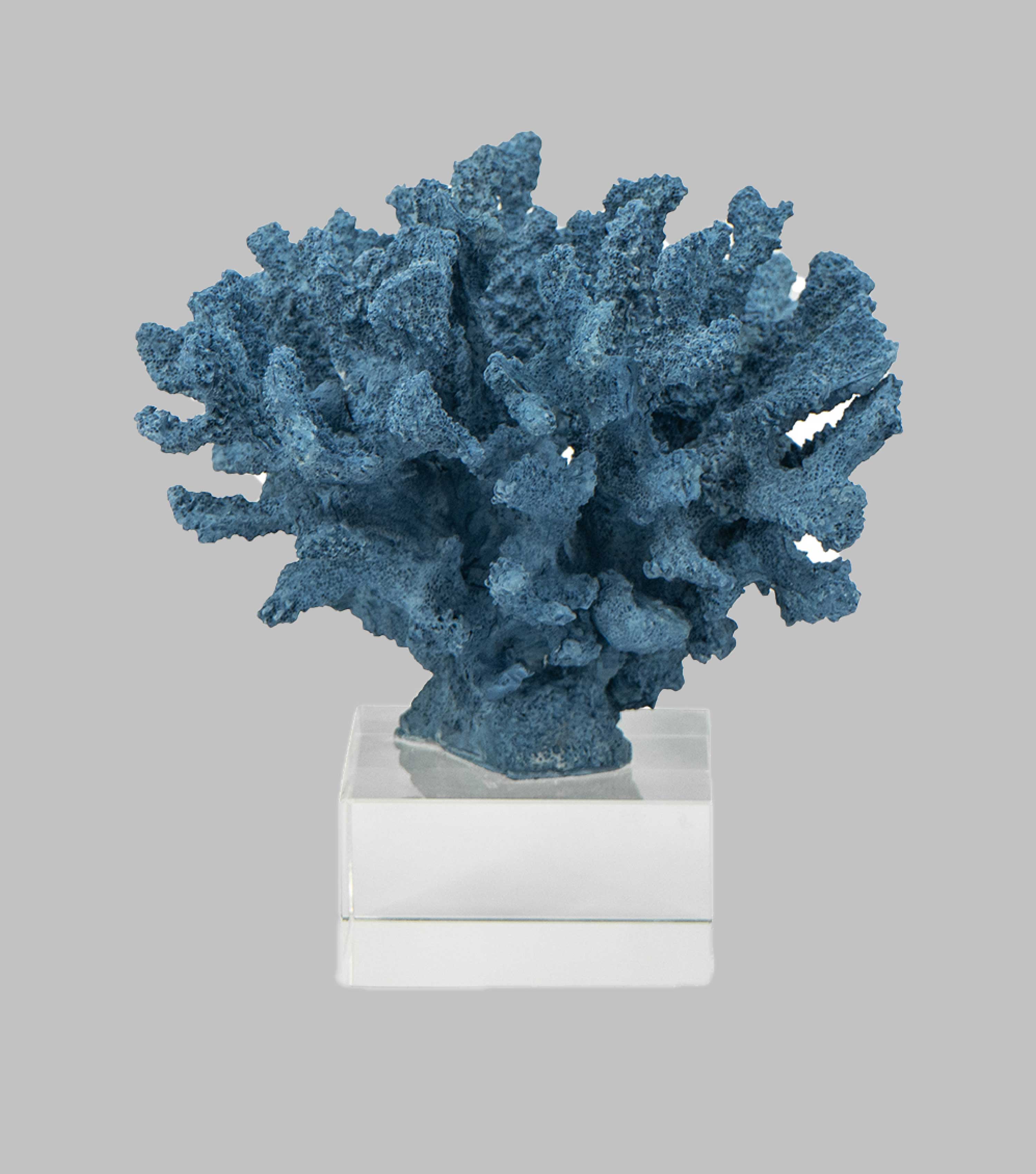 Coral Art Blue on Stand