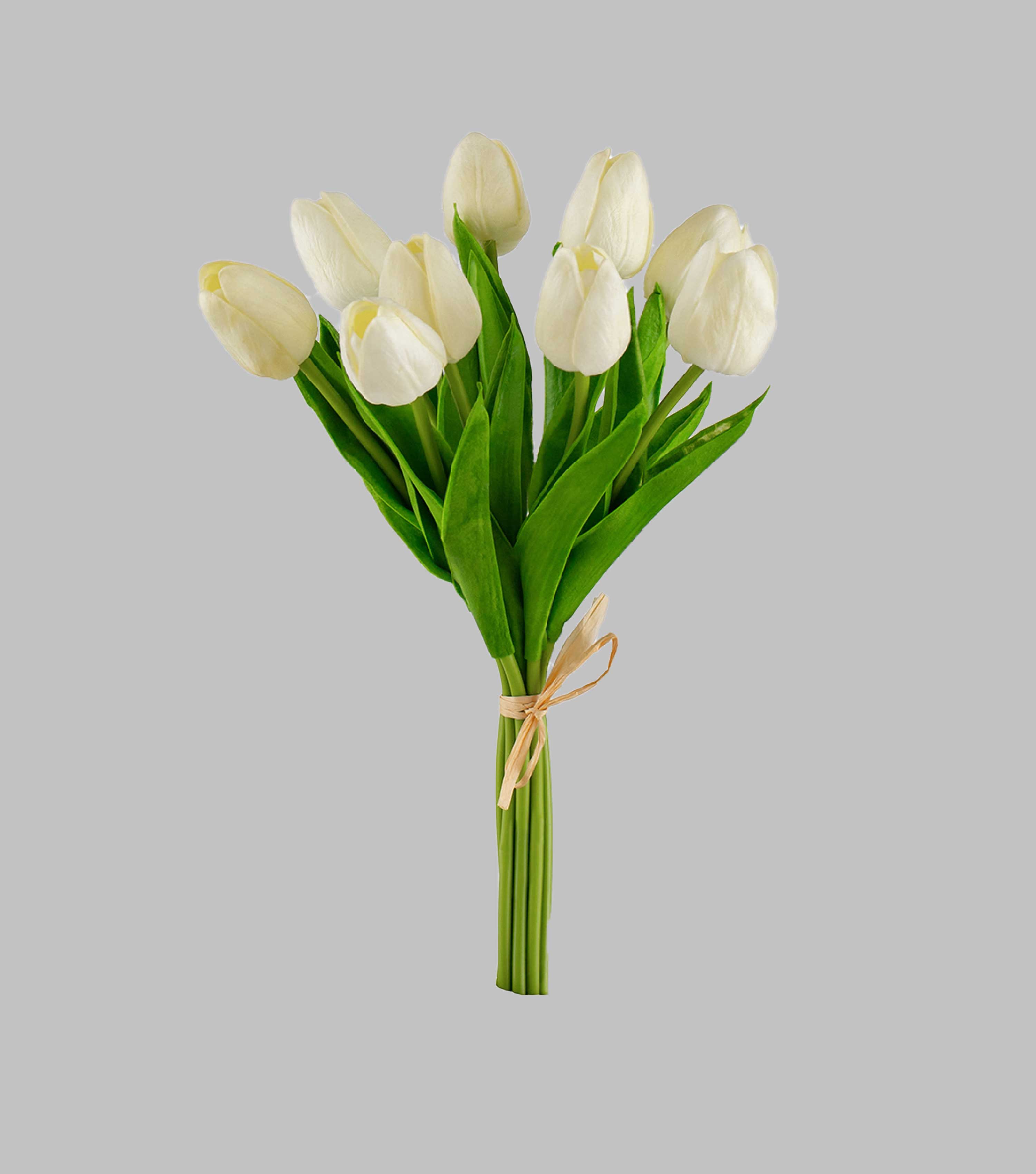 Tulip White set of 9