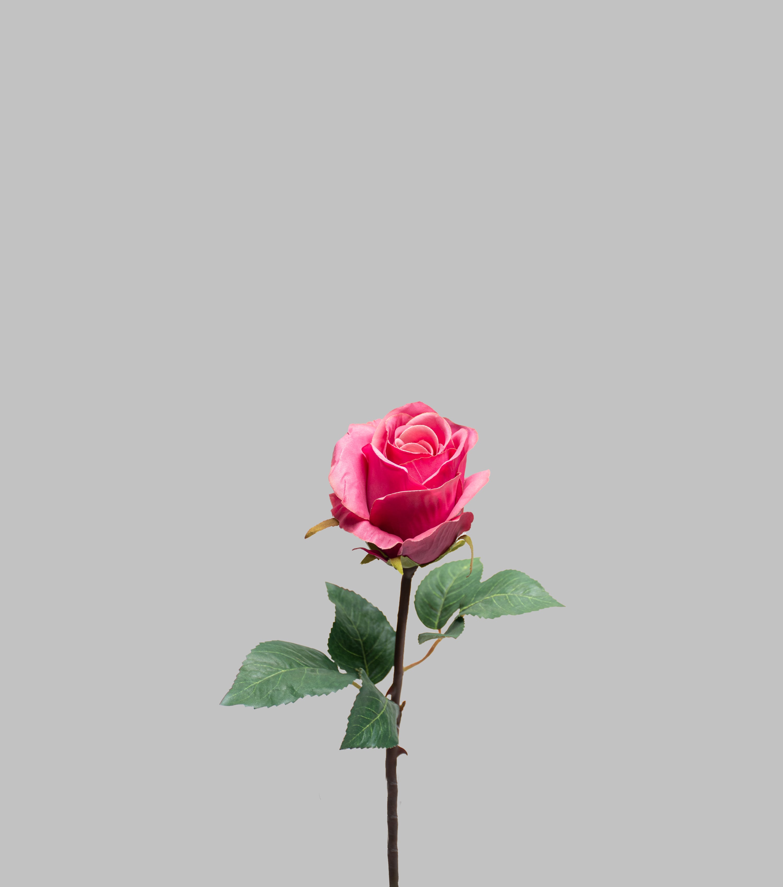Dark Pink Rose 15.75"