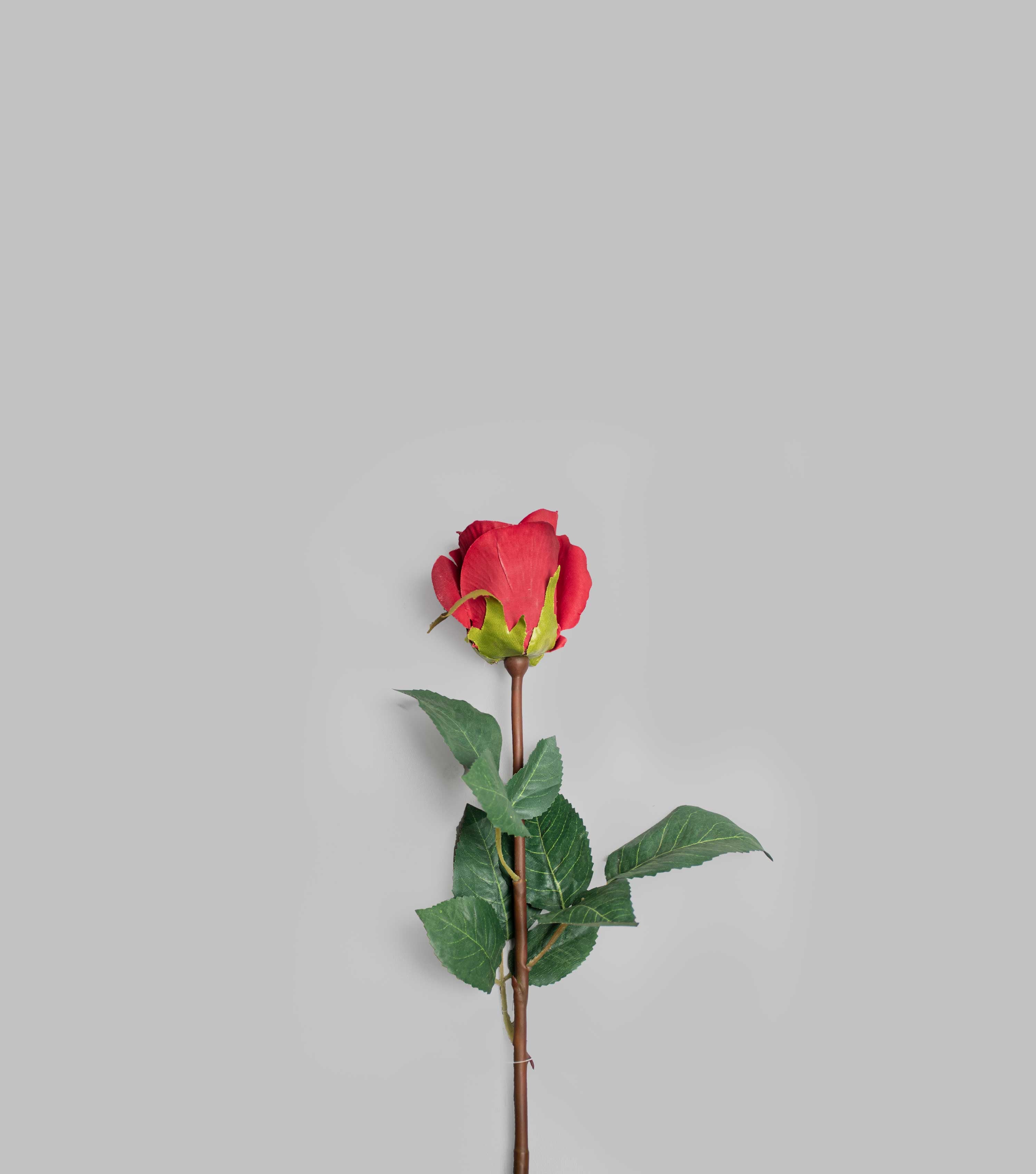 Red Rose 15.75"